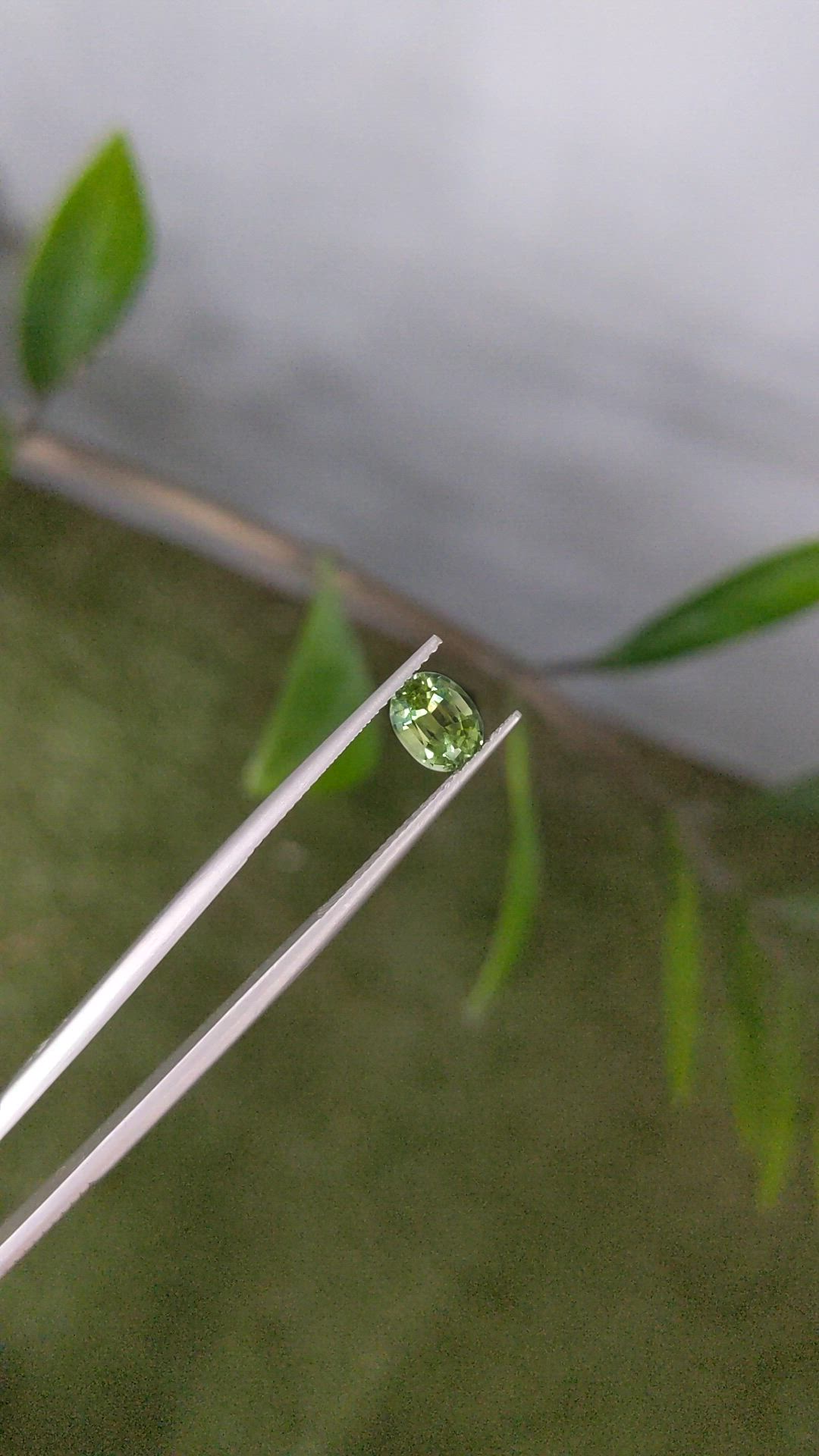 1.56 Ct. Yellowish Green Sapphire from Africa Size Video