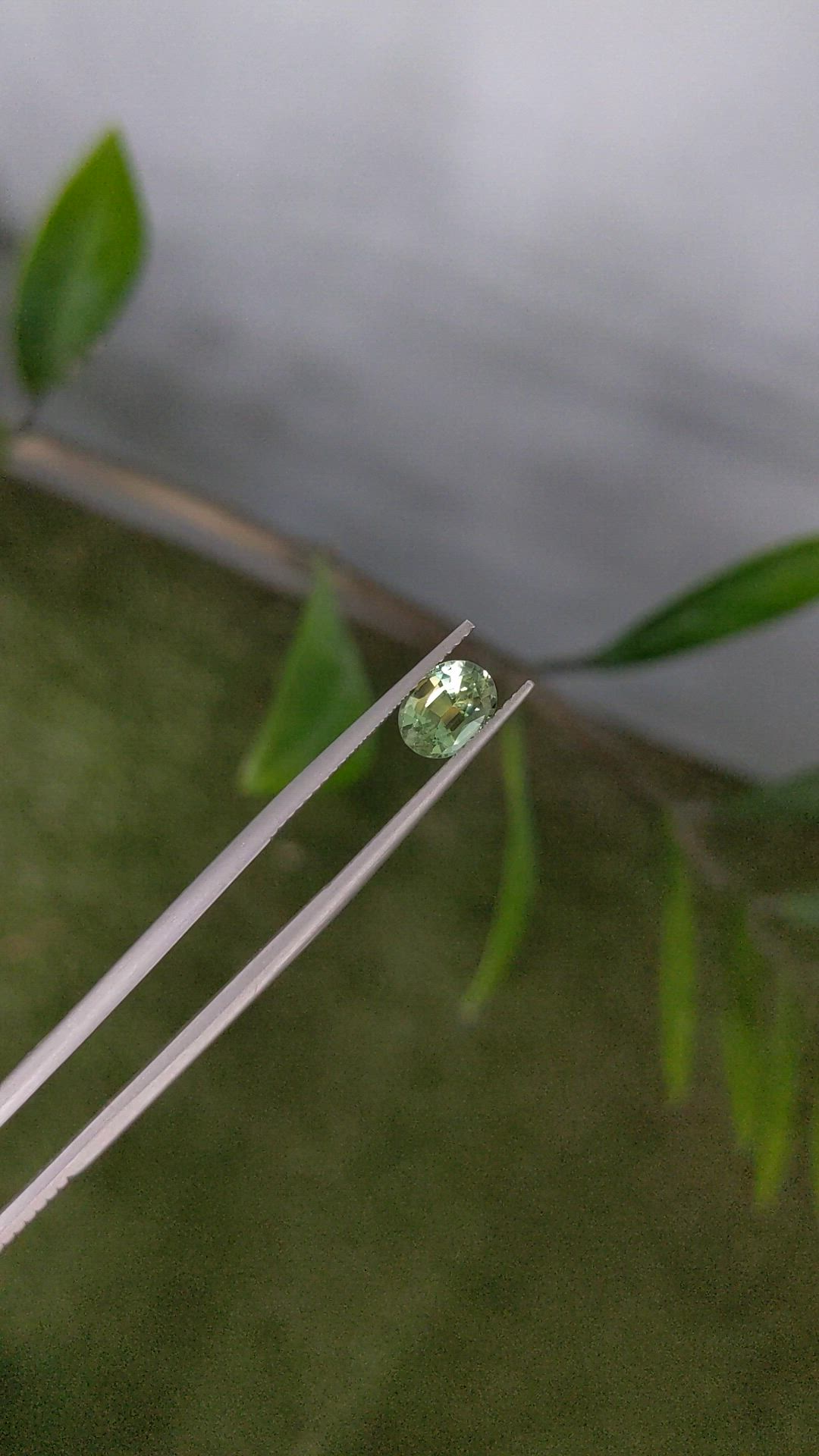 1.56 Ct. Yellowish Green Sapphire from Africa Size Video