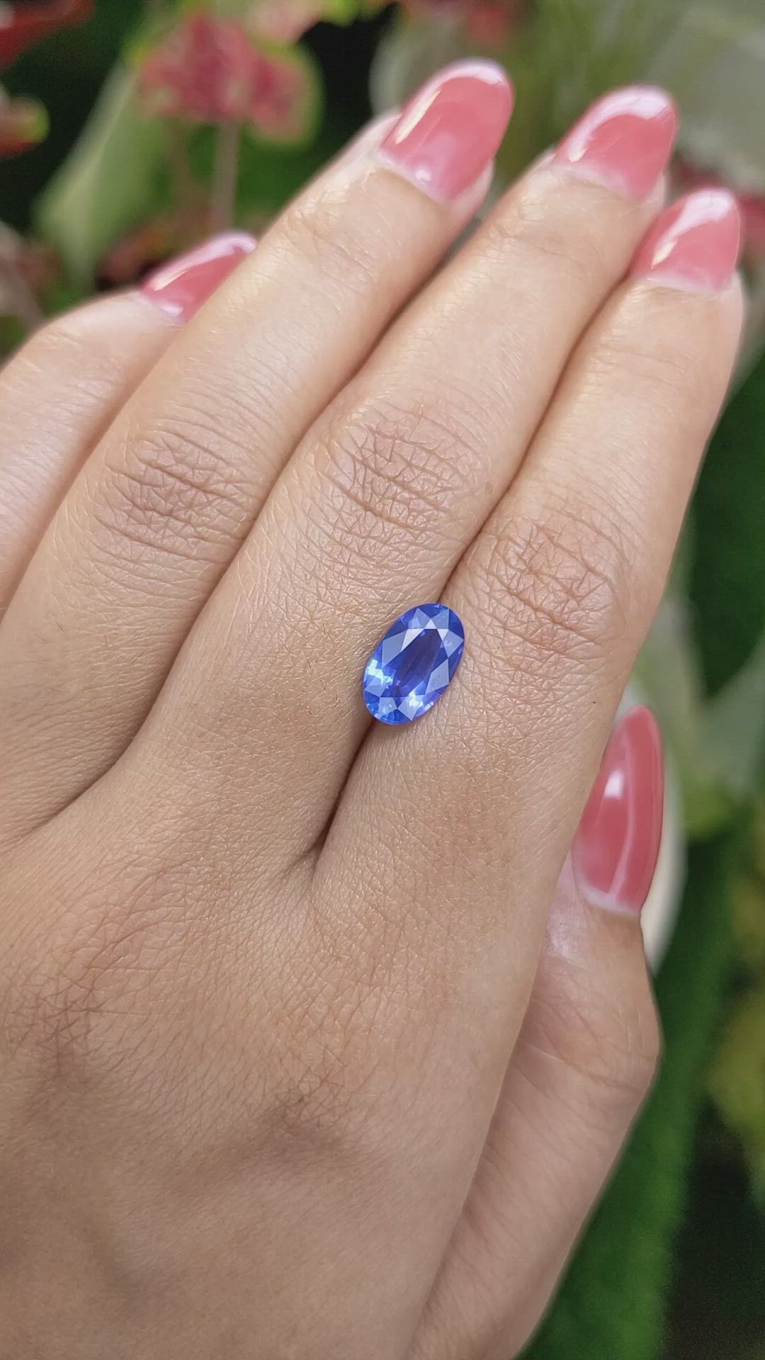 2.44 Ct. Blue Sapphire from Ceylon (Sri Lanka) Size Video
