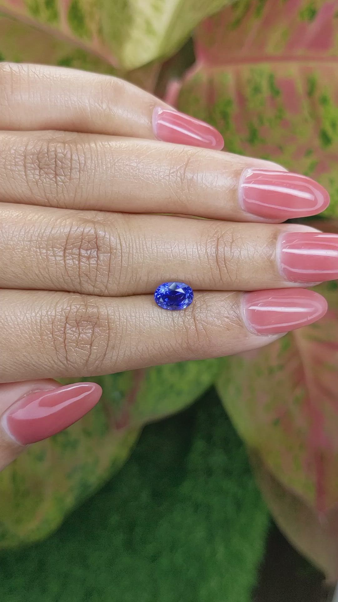 1.54 Ct. Blue Sapphire from Ceylon (Sri Lanka) Size Video