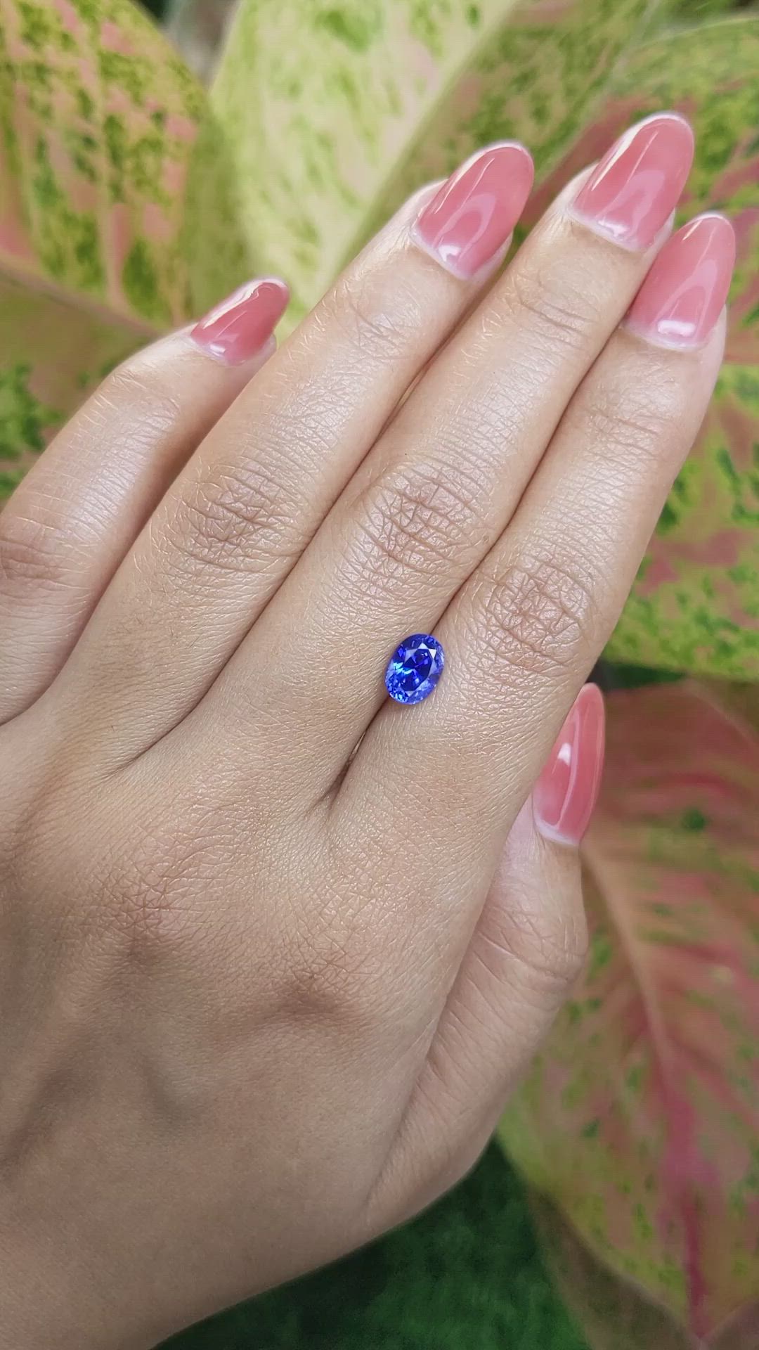 1.54 Ct. Blue Sapphire from Ceylon (Sri Lanka) Size Video