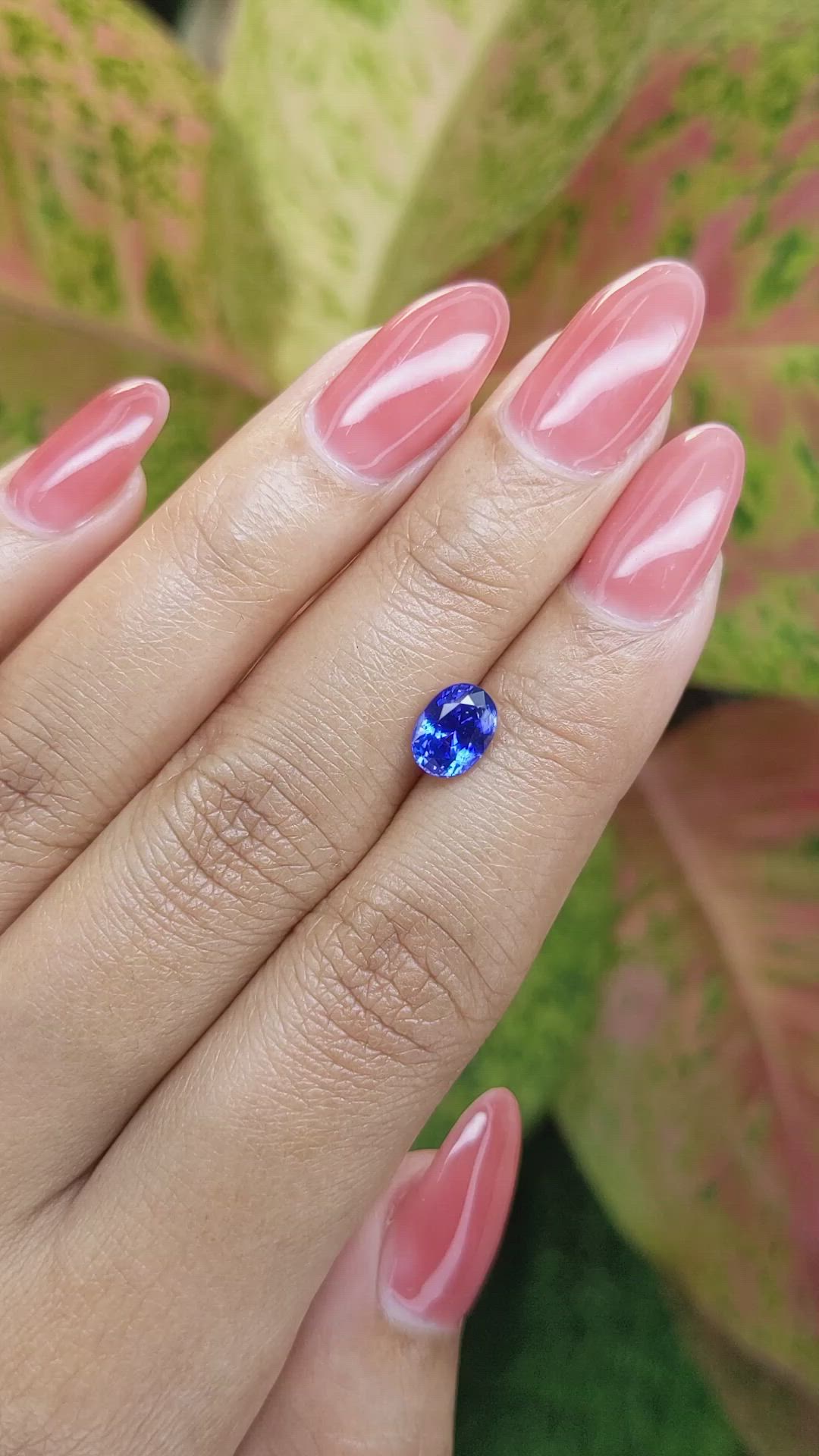 1.54 Ct. Blue Sapphire from Ceylon (Sri Lanka) Size Video