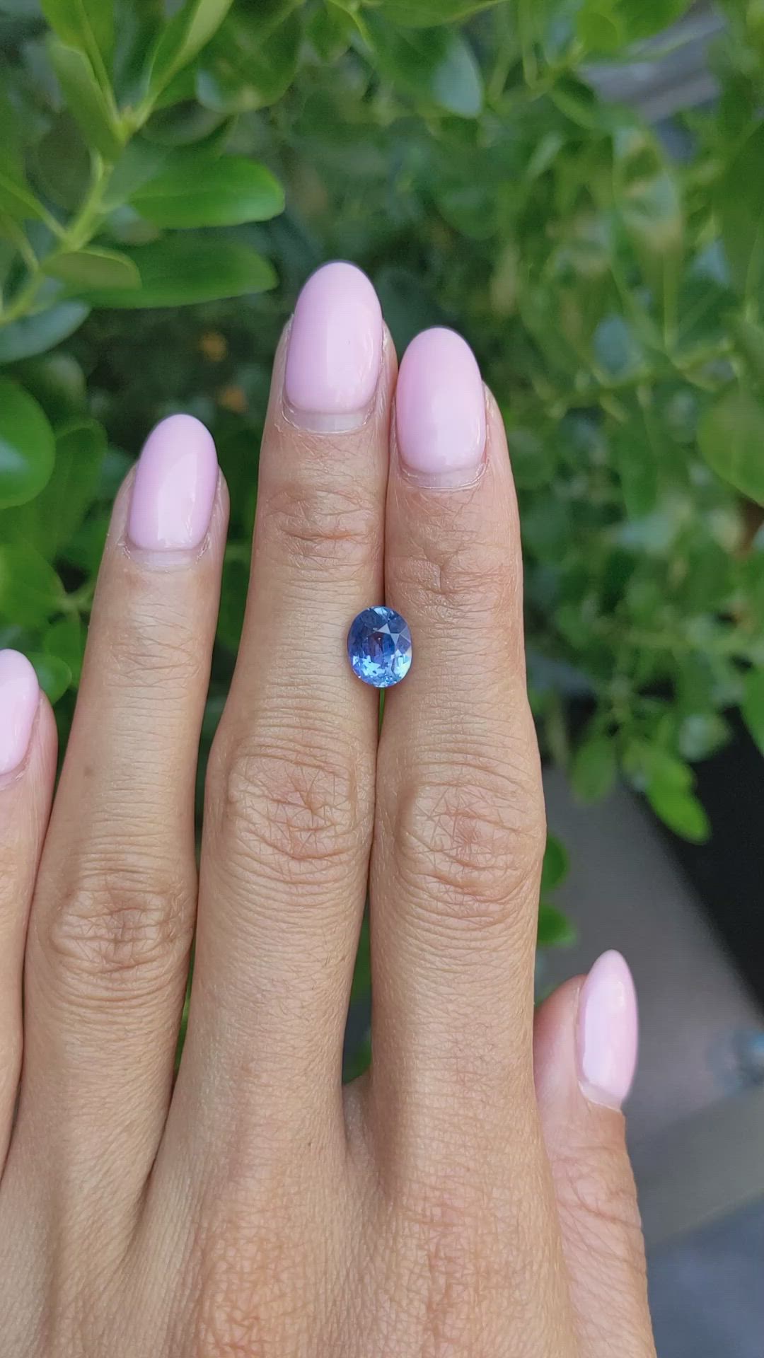 2.21 Ct. Blue Sapphire from Ceylon (Sri Lanka) Size Video