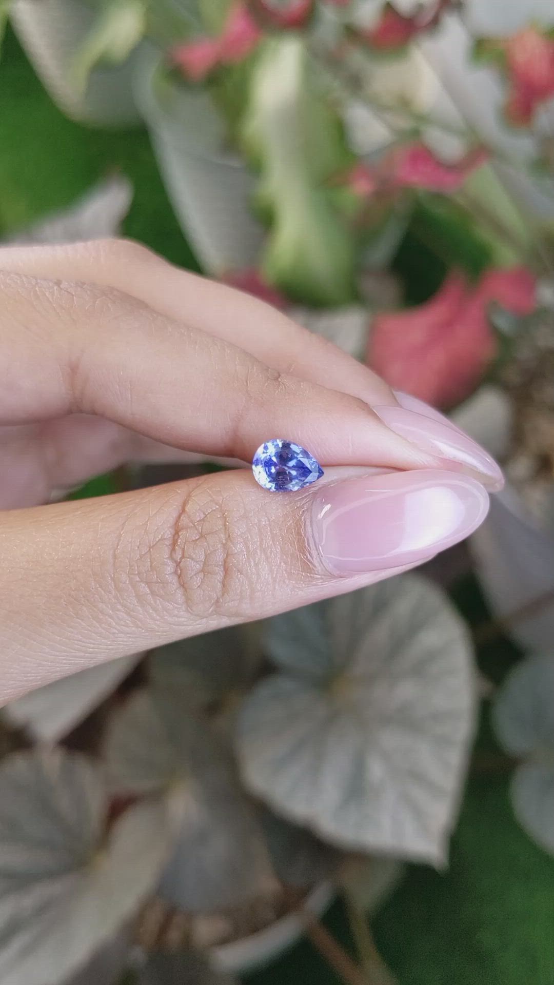 1.43 Ct. Blue Sapphire from Ceylon (Sri Lanka) Size Video