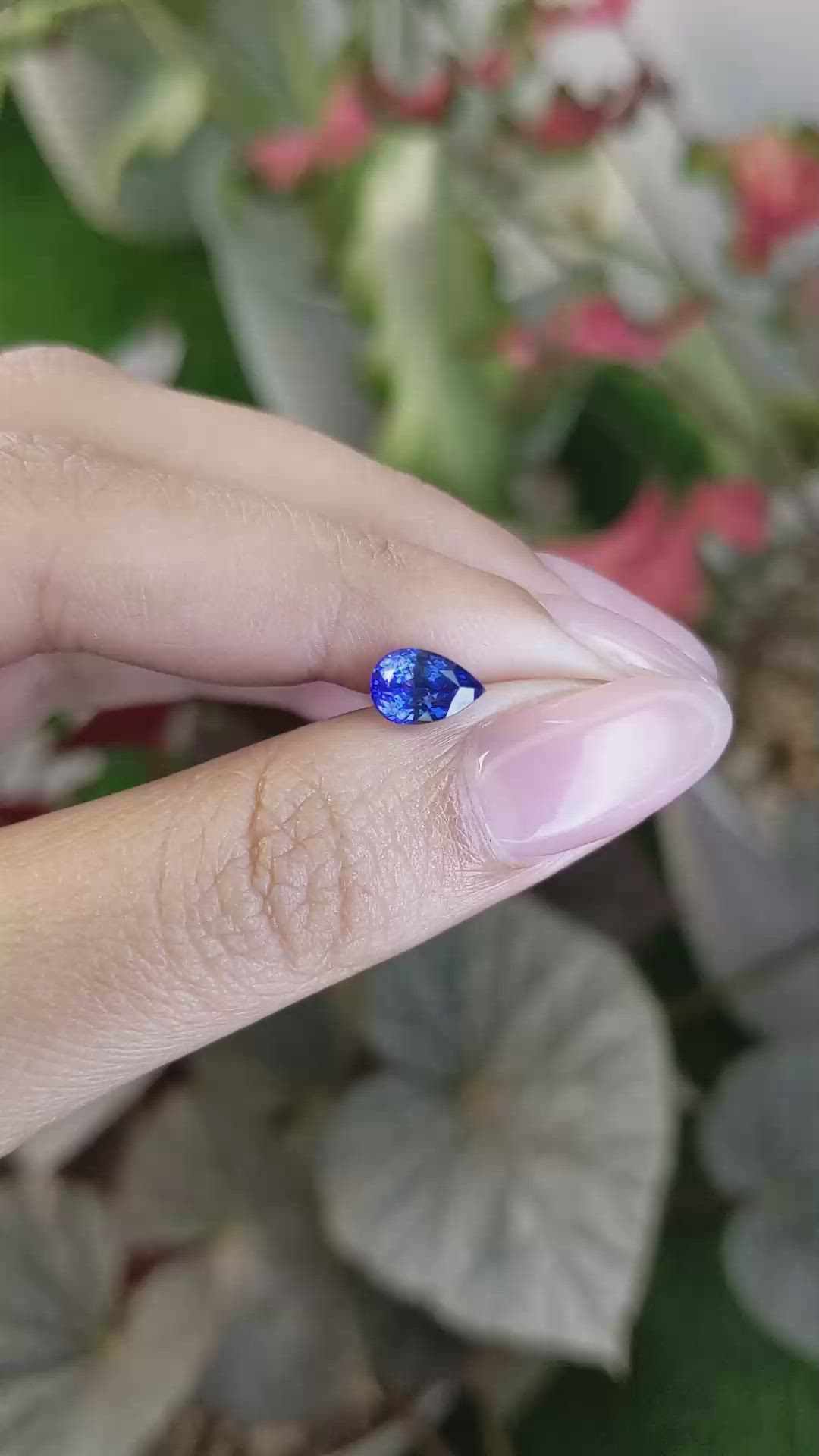1.43 Ct. Blue Sapphire from Ceylon (Sri Lanka) Size Video