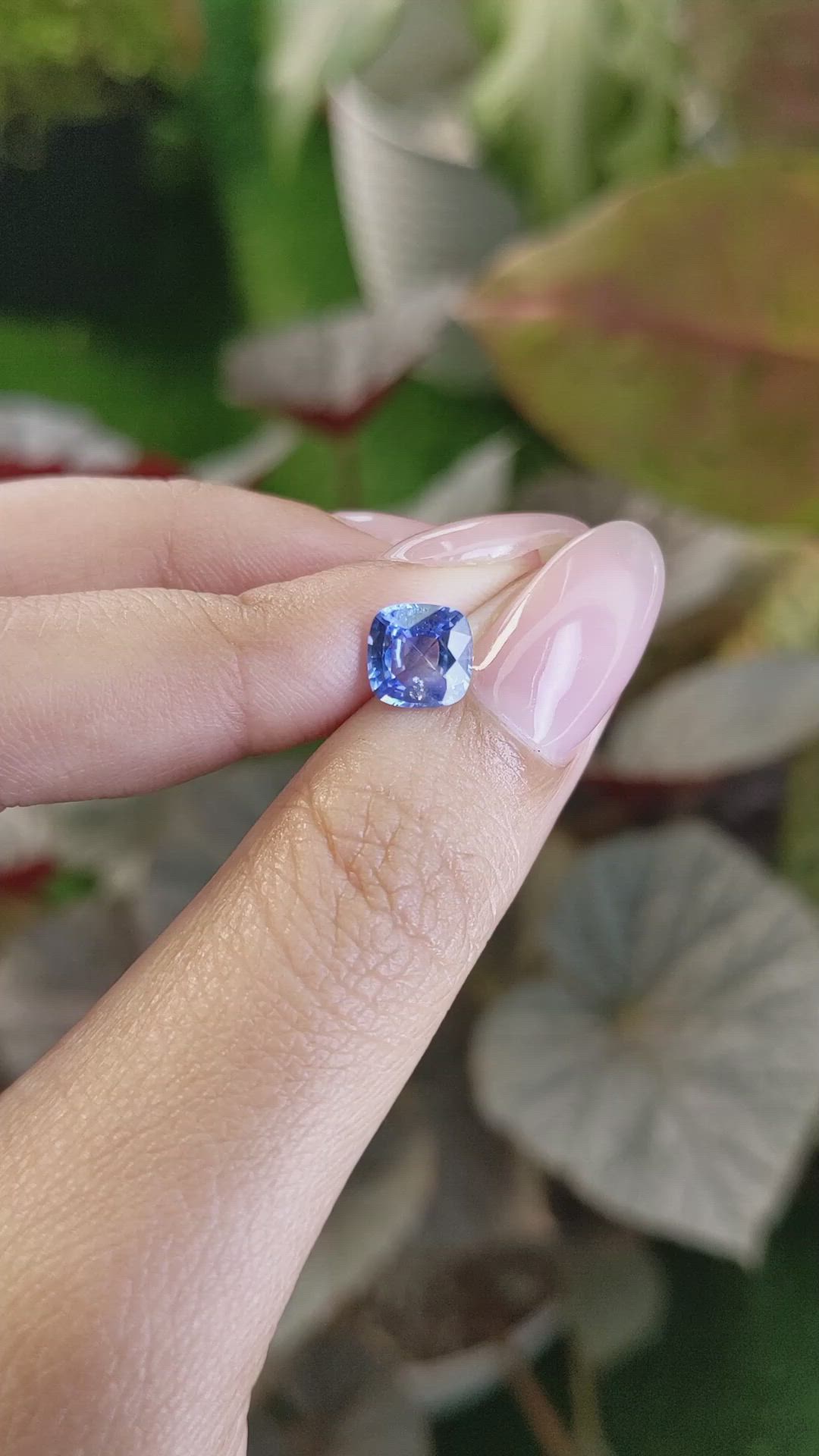 1.68 Ct. Blue Sapphire from Ceylon (Sri Lanka) Size Video