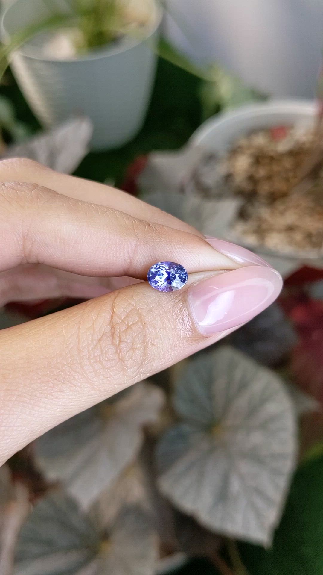 1.65 Ct. Violet Sapphire from Ceylon (Sri Lanka) Size Video