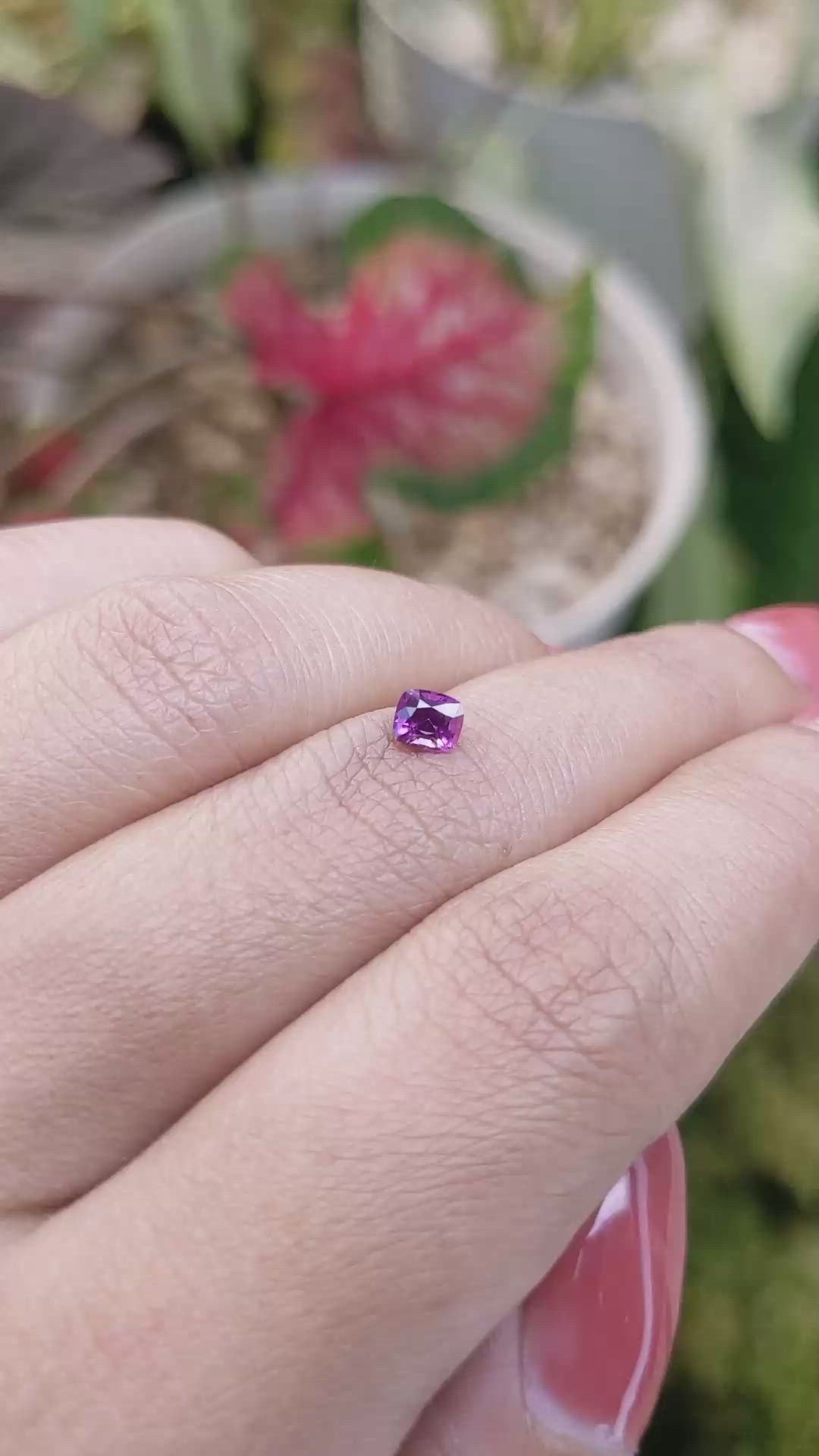 0.43 Ct. Purplish Pink Sapphire from Ceylon (Sri Lanka) Size Video