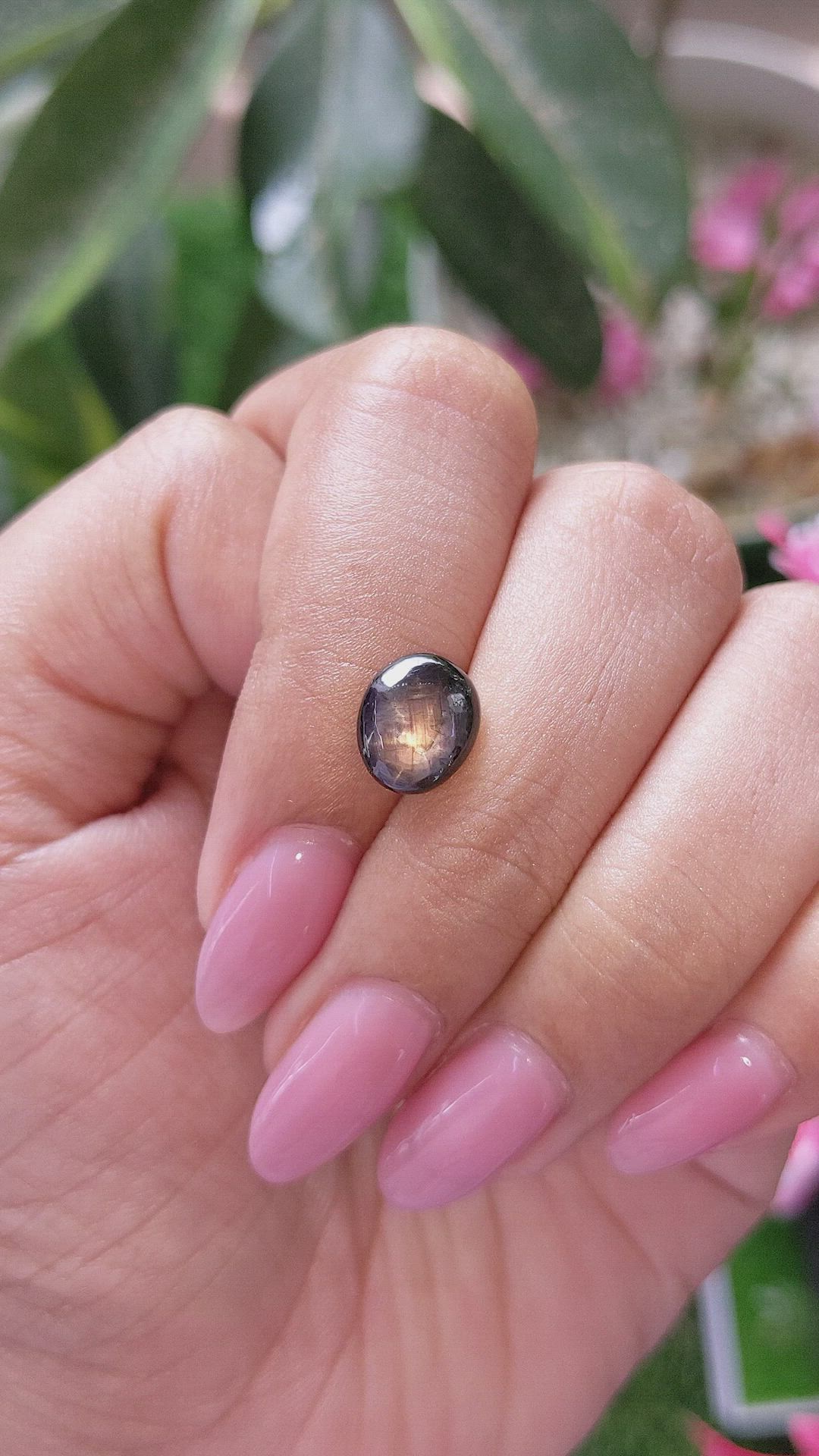 3.24 Ct. Brown Star Sapphire from Ceylon (Sri Lanka) Size Video
