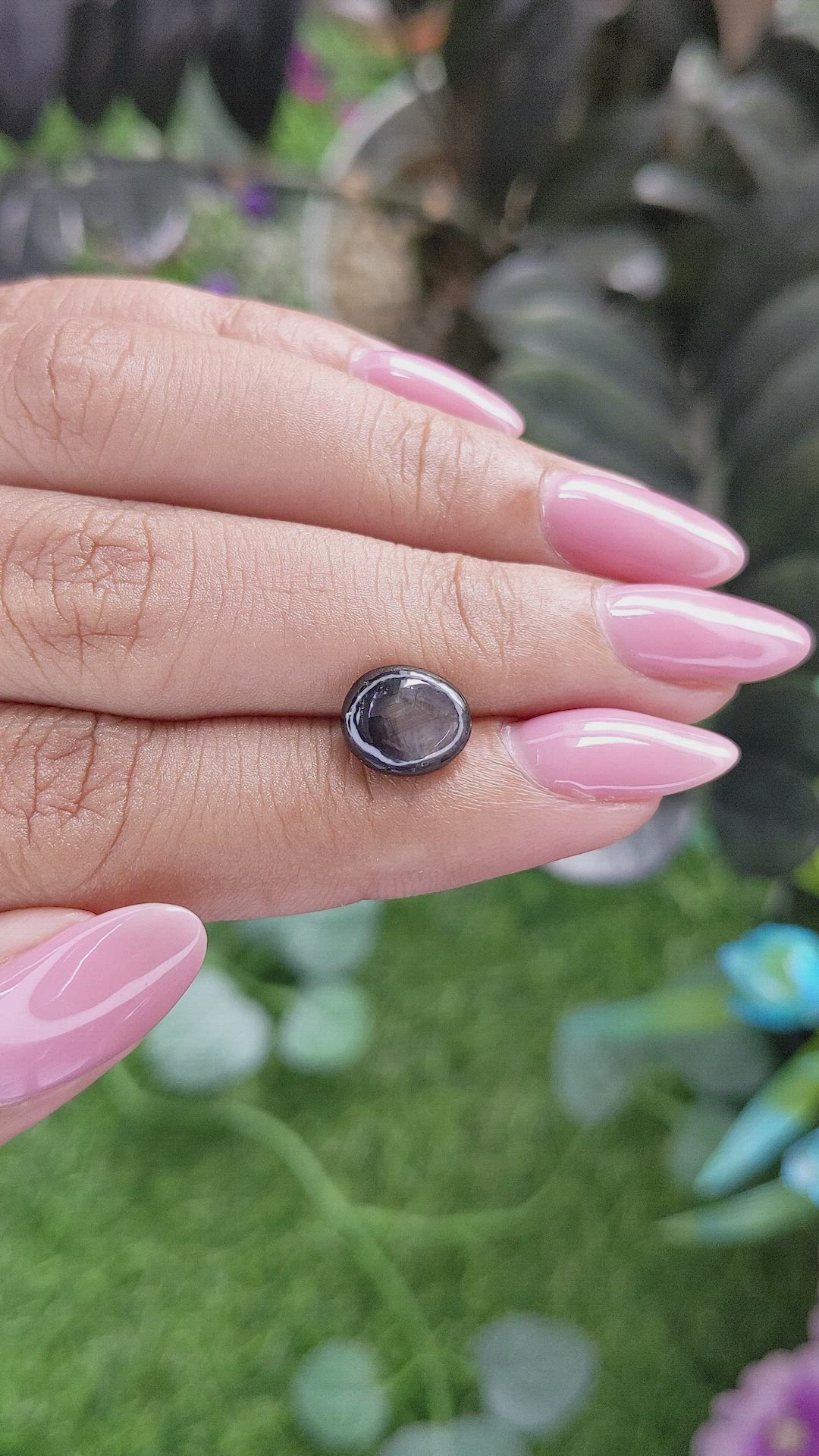 3.24 Ct. Brown Star Sapphire from Ceylon (Sri Lanka) Size Video