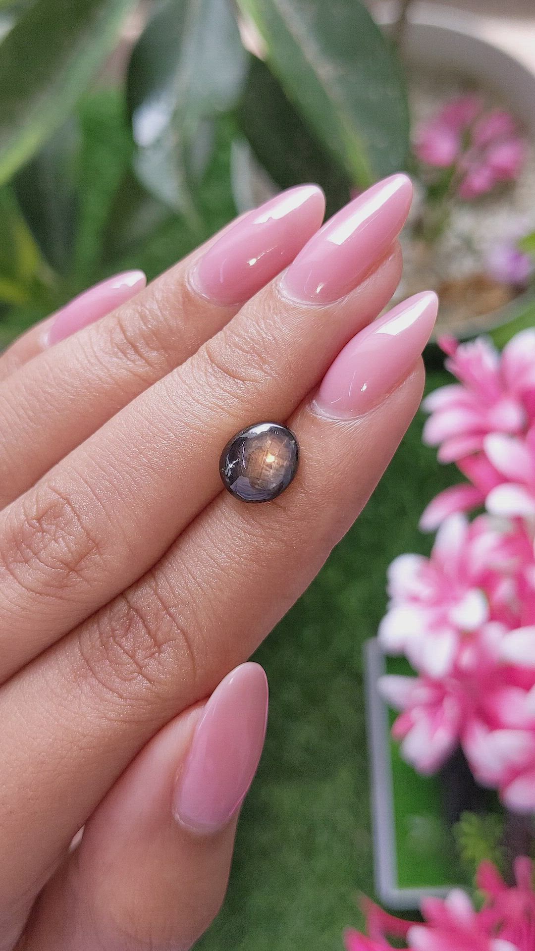 3.24 Ct. Brown Star Sapphire from Ceylon (Sri Lanka) Size Video