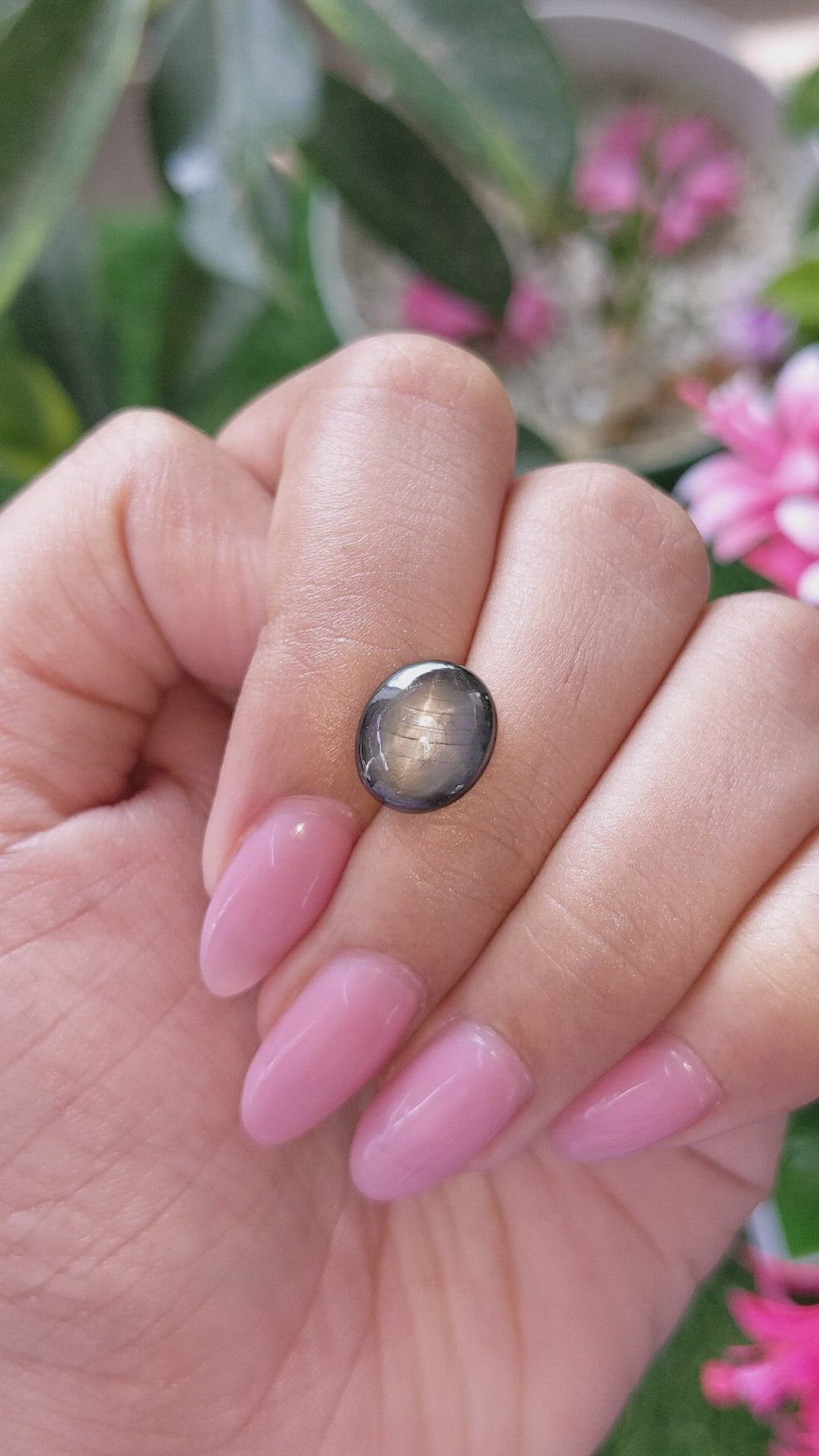 6.11 Ct. Black Star Sapphire from Ceylon (Sri Lanka) Size Video