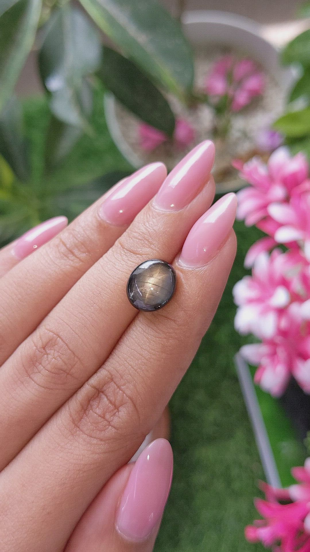 6.11 Ct. Black Star Sapphire from Ceylon (Sri Lanka) Size Video