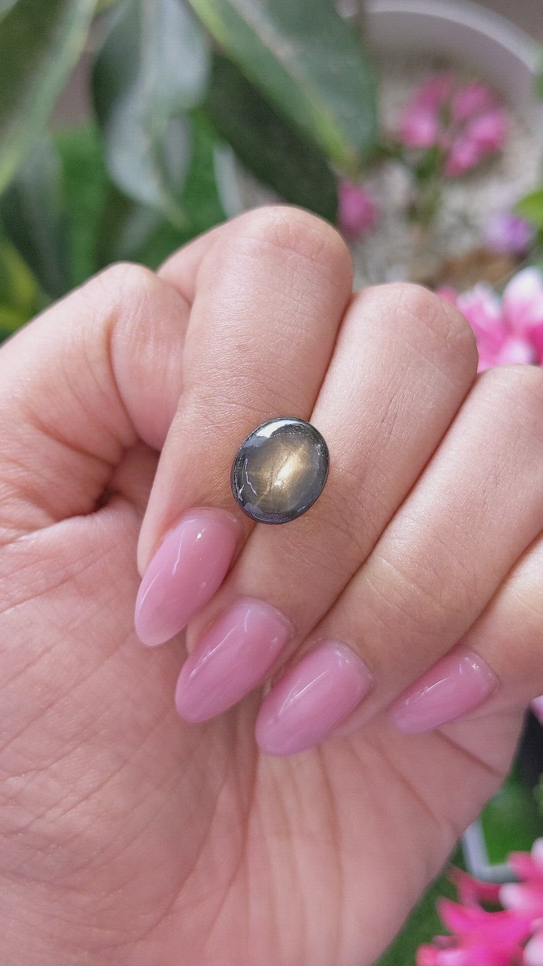 6.73 Ct. Black Star Sapphire from Ceylon (Sri Lanka) Size Video