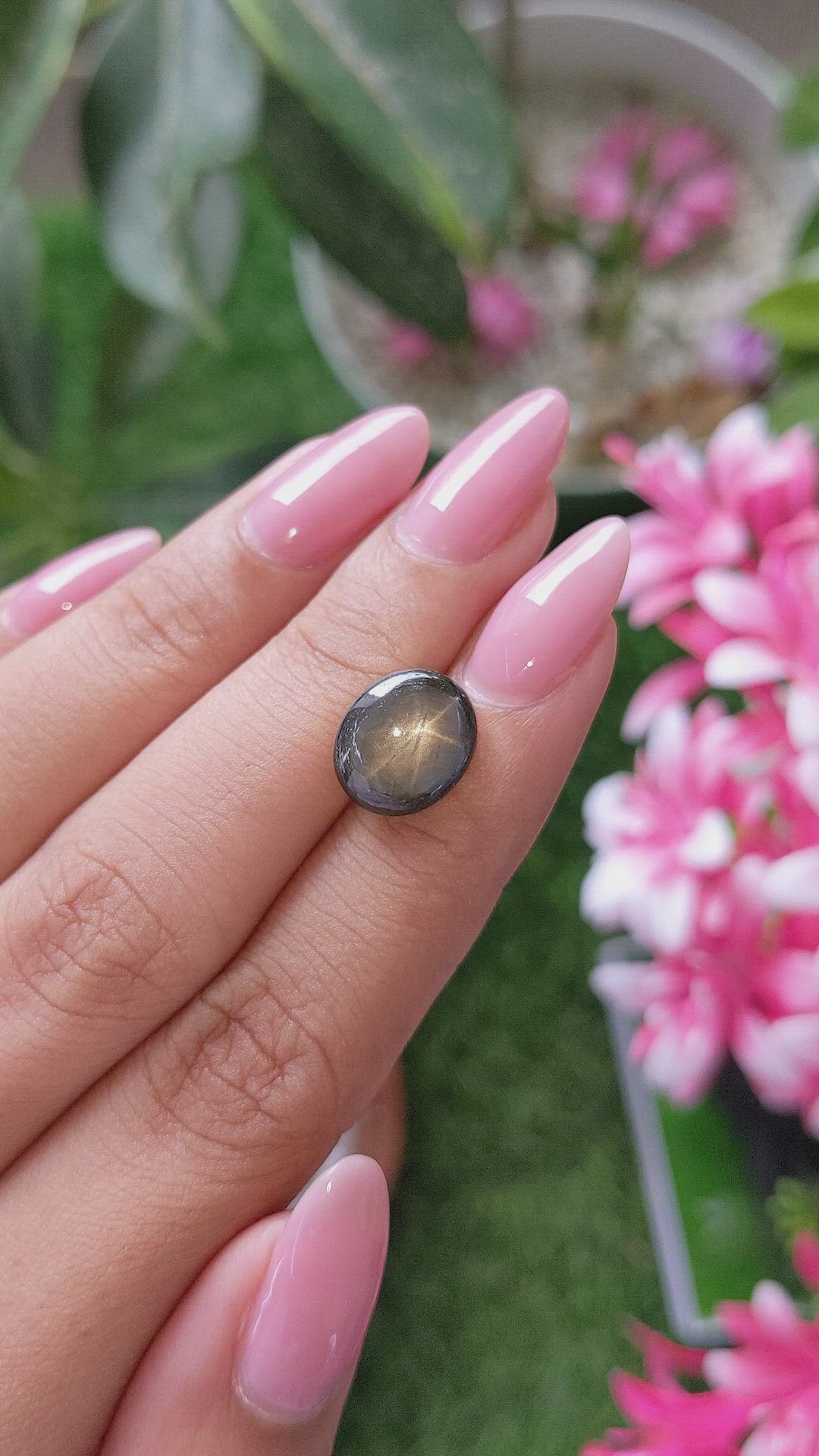 6.73 Ct. Black Star Sapphire from Ceylon (Sri Lanka) Size Video
