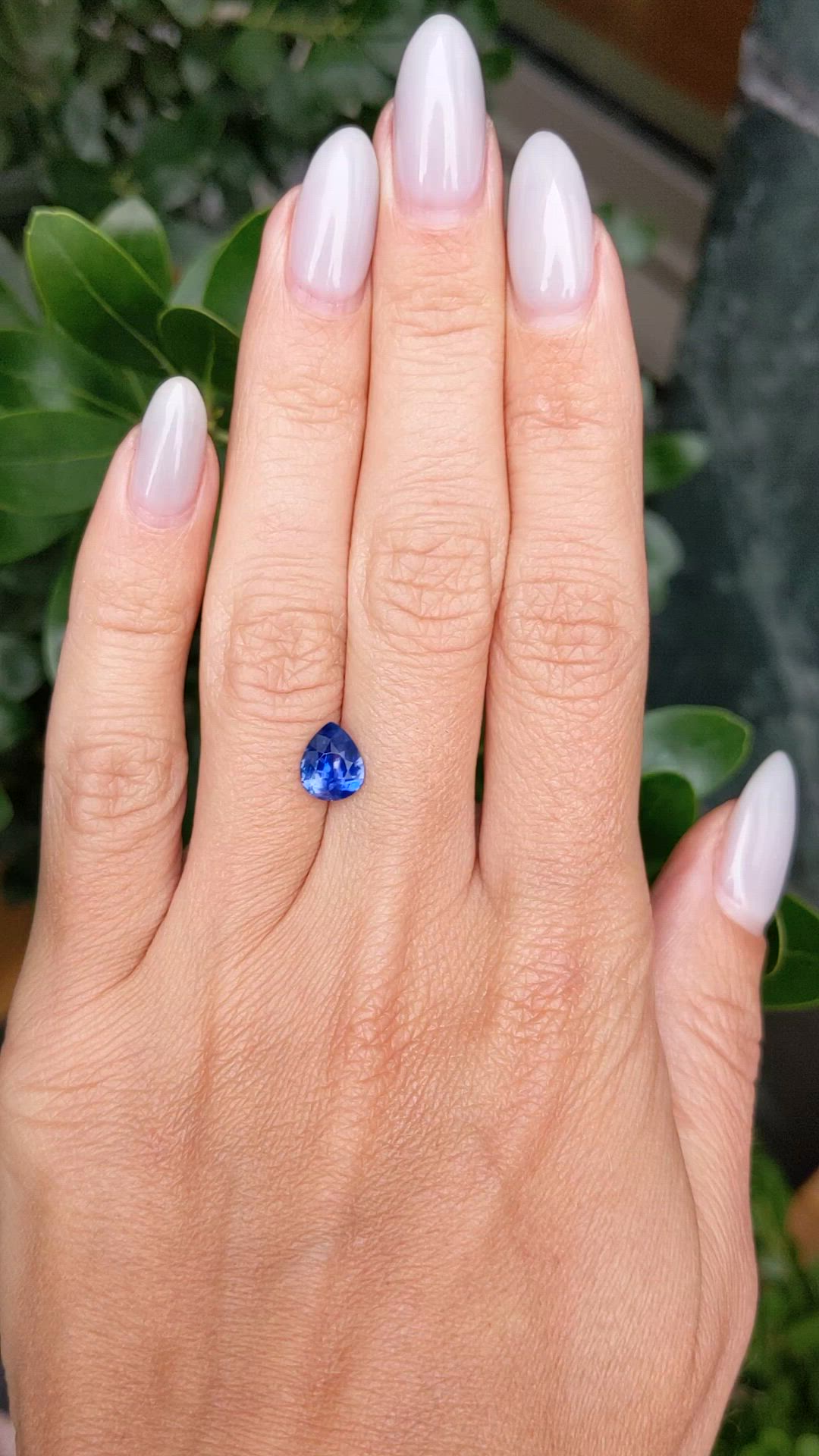 1.46 Ct. Blue Sapphire from Ceylon (Sri Lanka) Size Video
