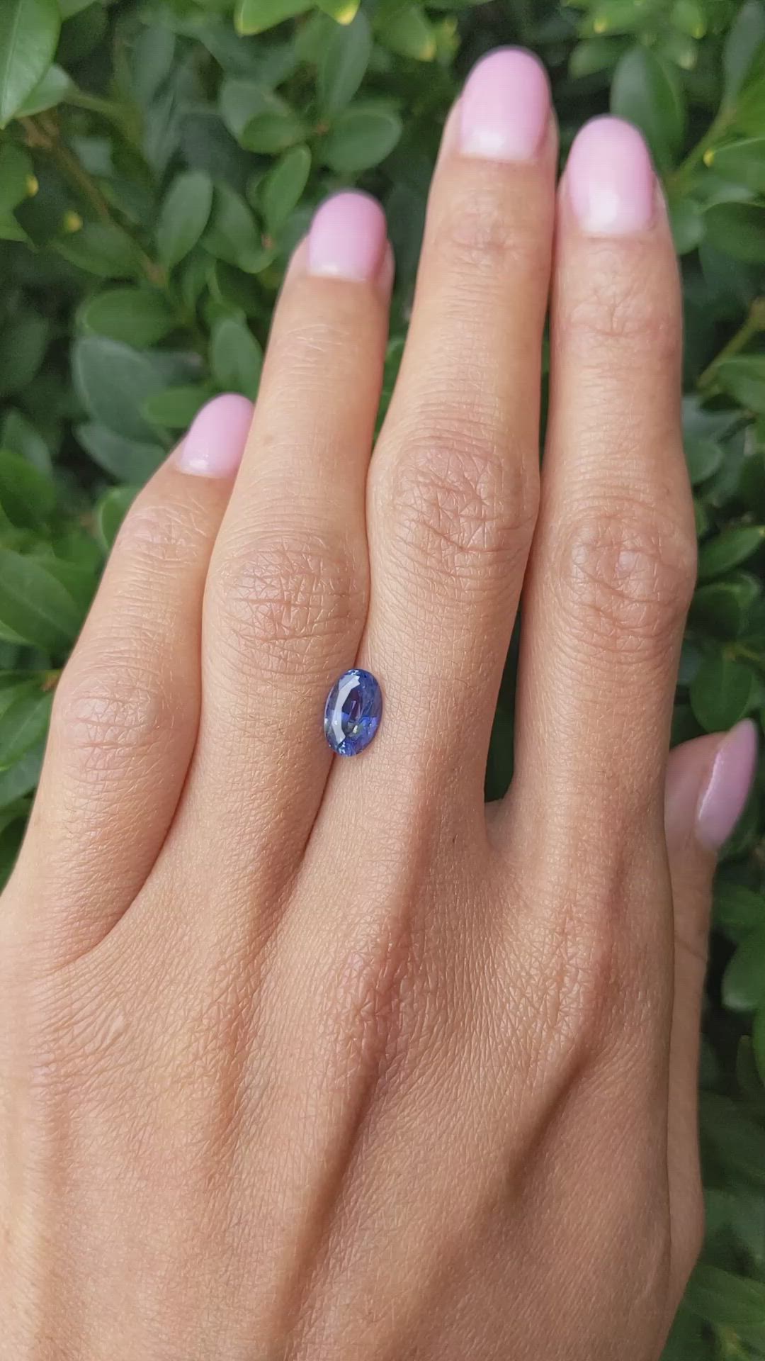 1.64 Ct. Blue Sapphire from Ceylon (Sri Lanka) Size Video