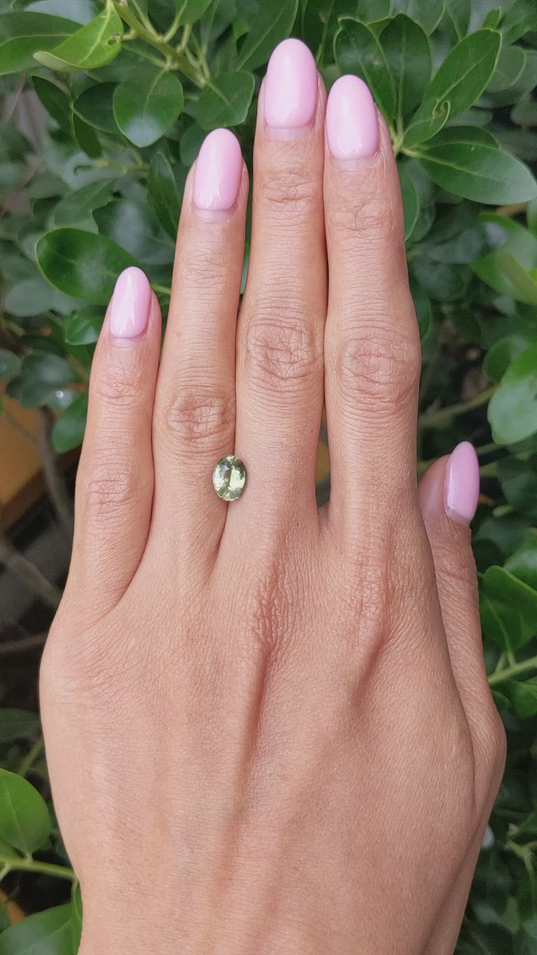 2.02 Ct. Yellowish Green Sapphire from Madagascar Size Video