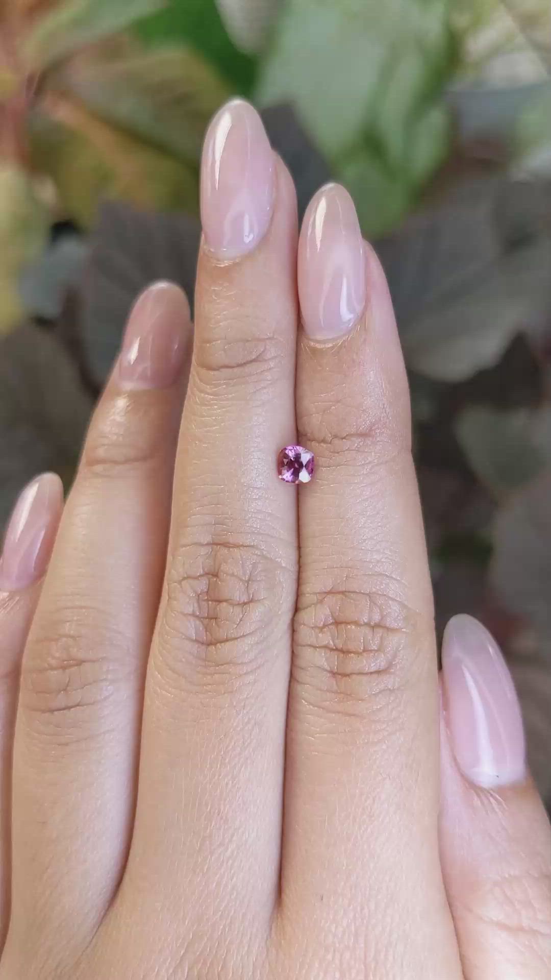 0.43 Ct. Pink Sapphire from Ceylon (Sri Lanka) Size Video