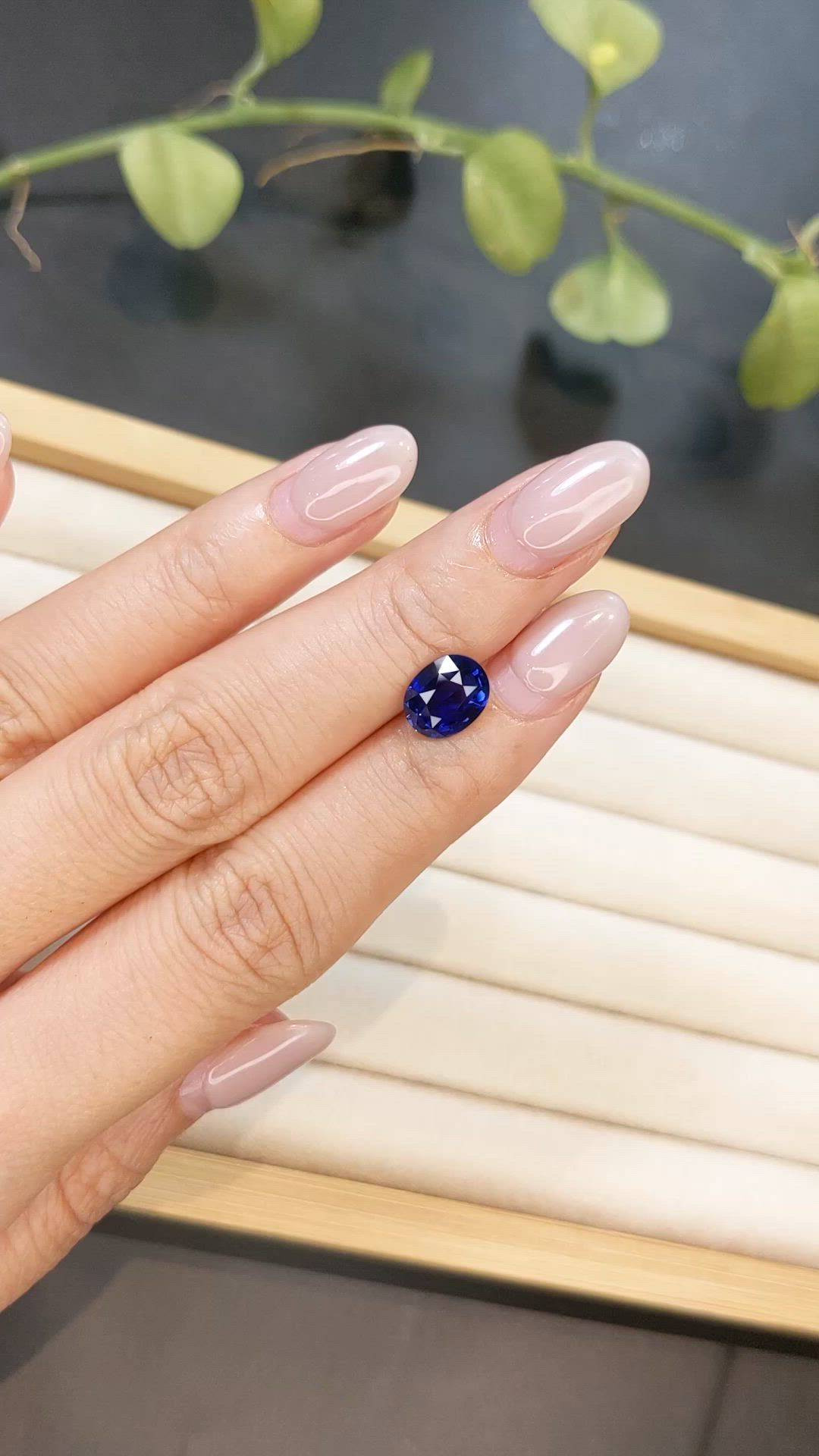 2.53 Ct. Blue Sapphire from Ceylon (Sri Lanka) Size Video