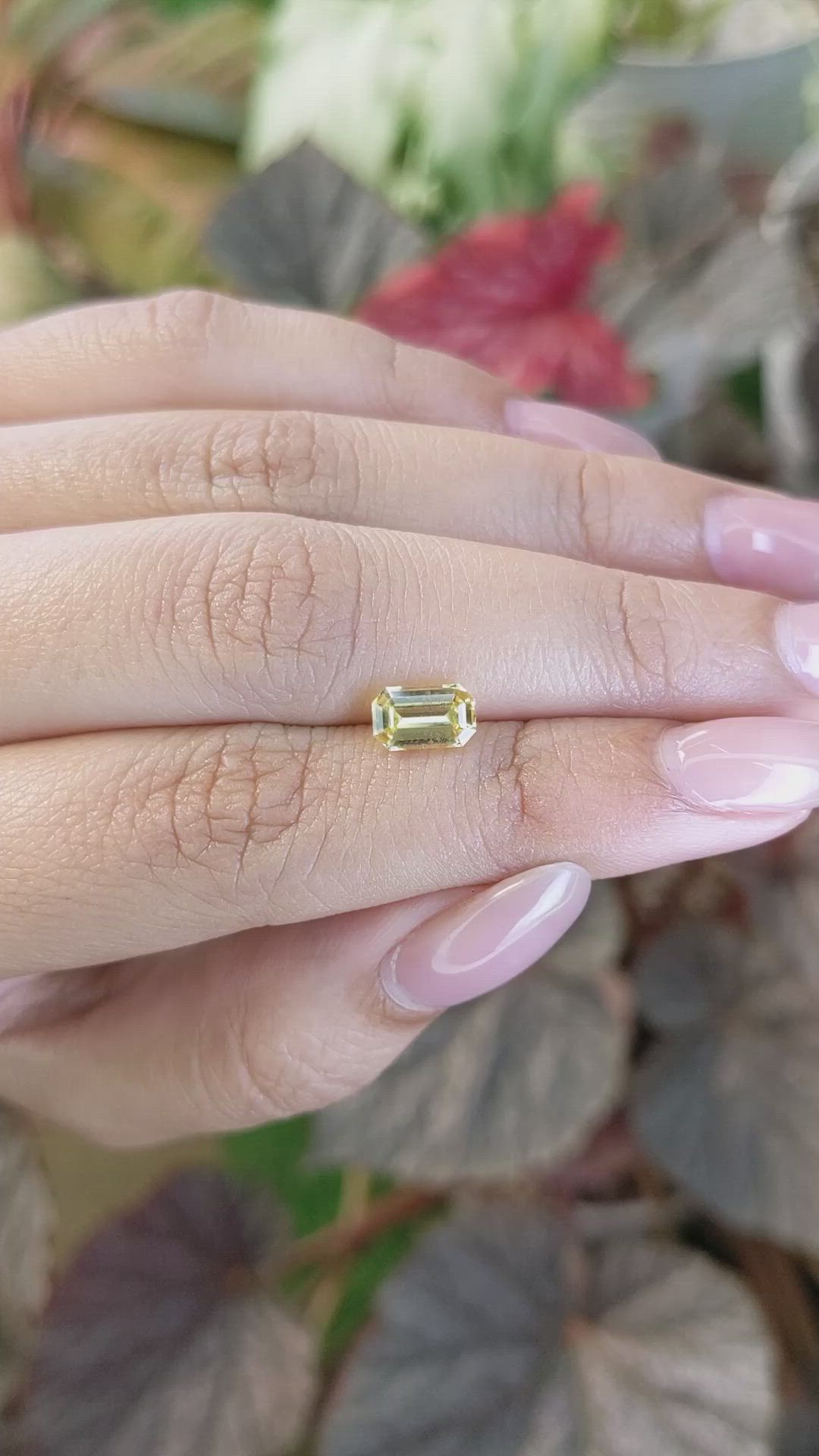 1.36 Ct. Yellow Sapphire from Ceylon (Sri Lanka) Size Video