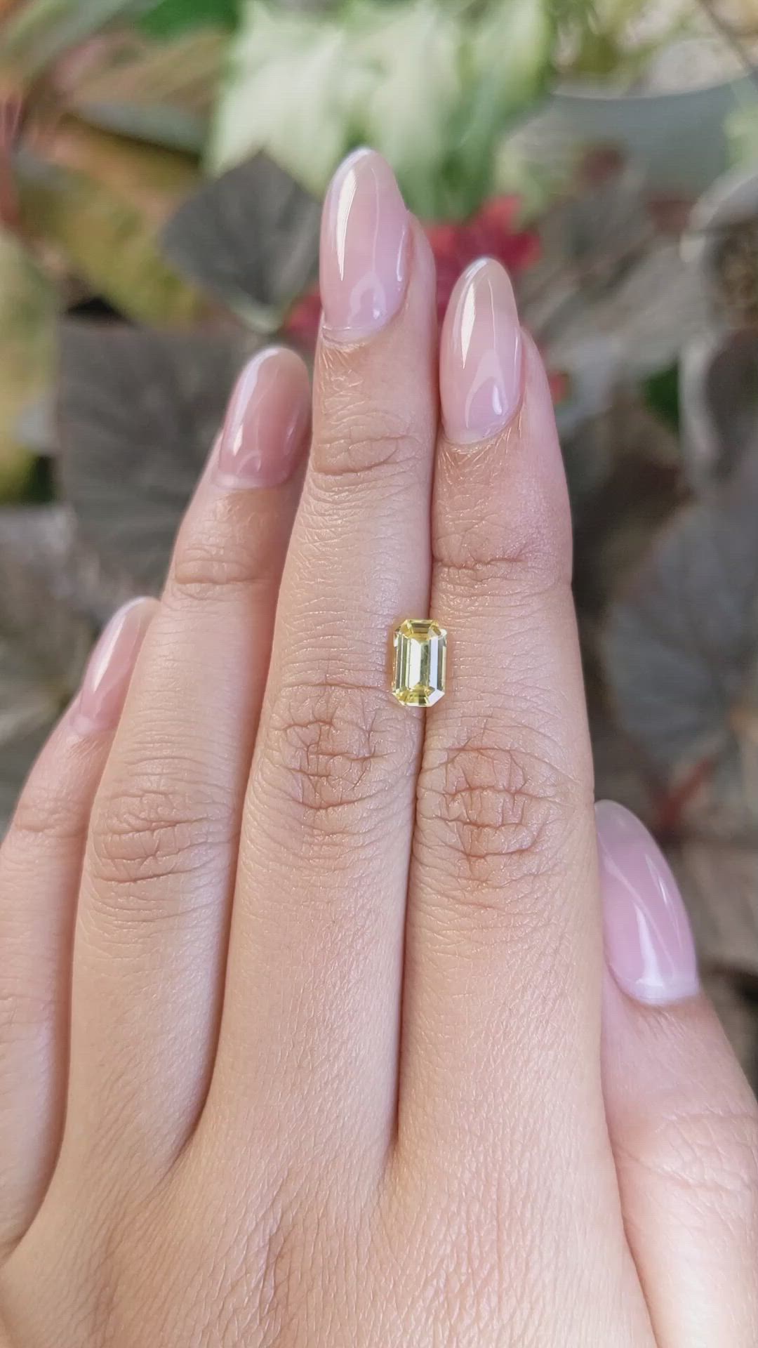 1.36 Ct. Yellow Sapphire from Ceylon (Sri Lanka) Size Video