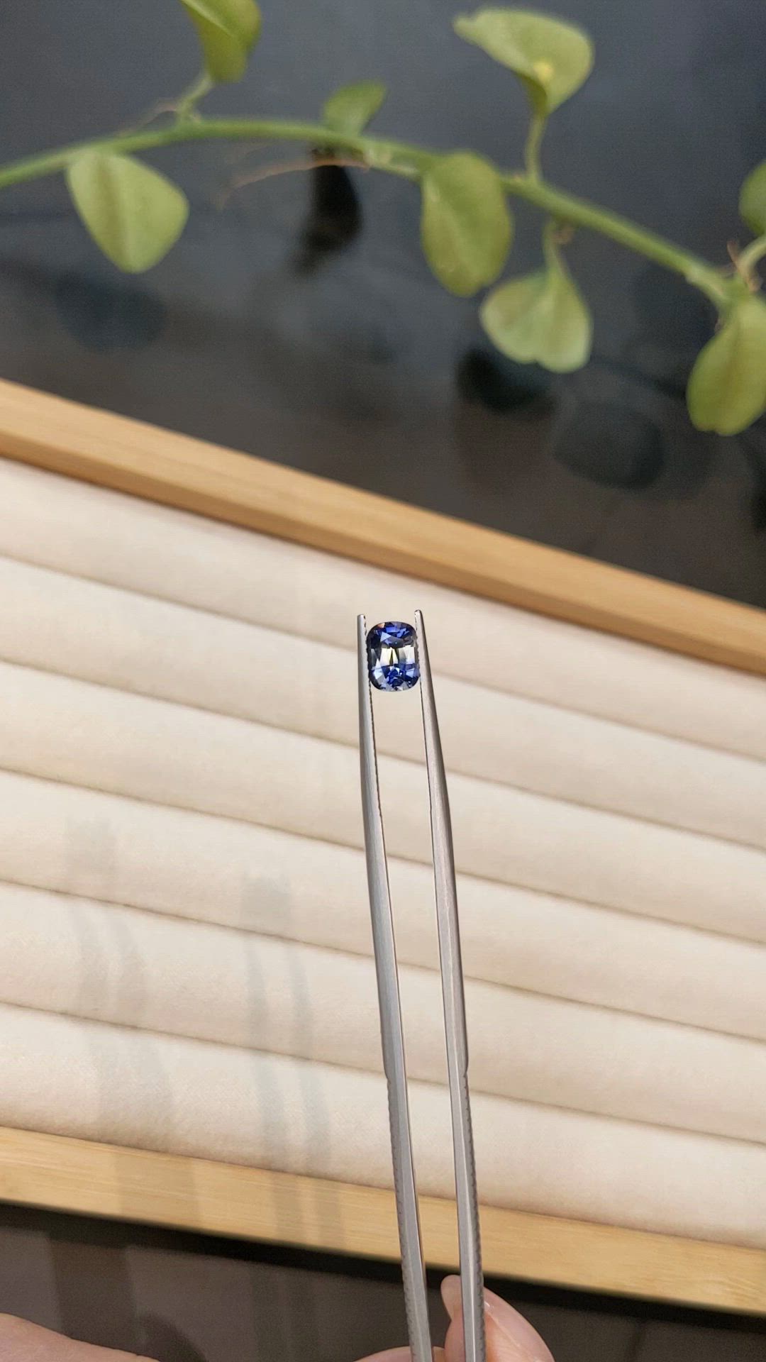 1.25 Ct. Bi Color / Parti Sapphire from Ceylon (Sri Lanka) Size Video
