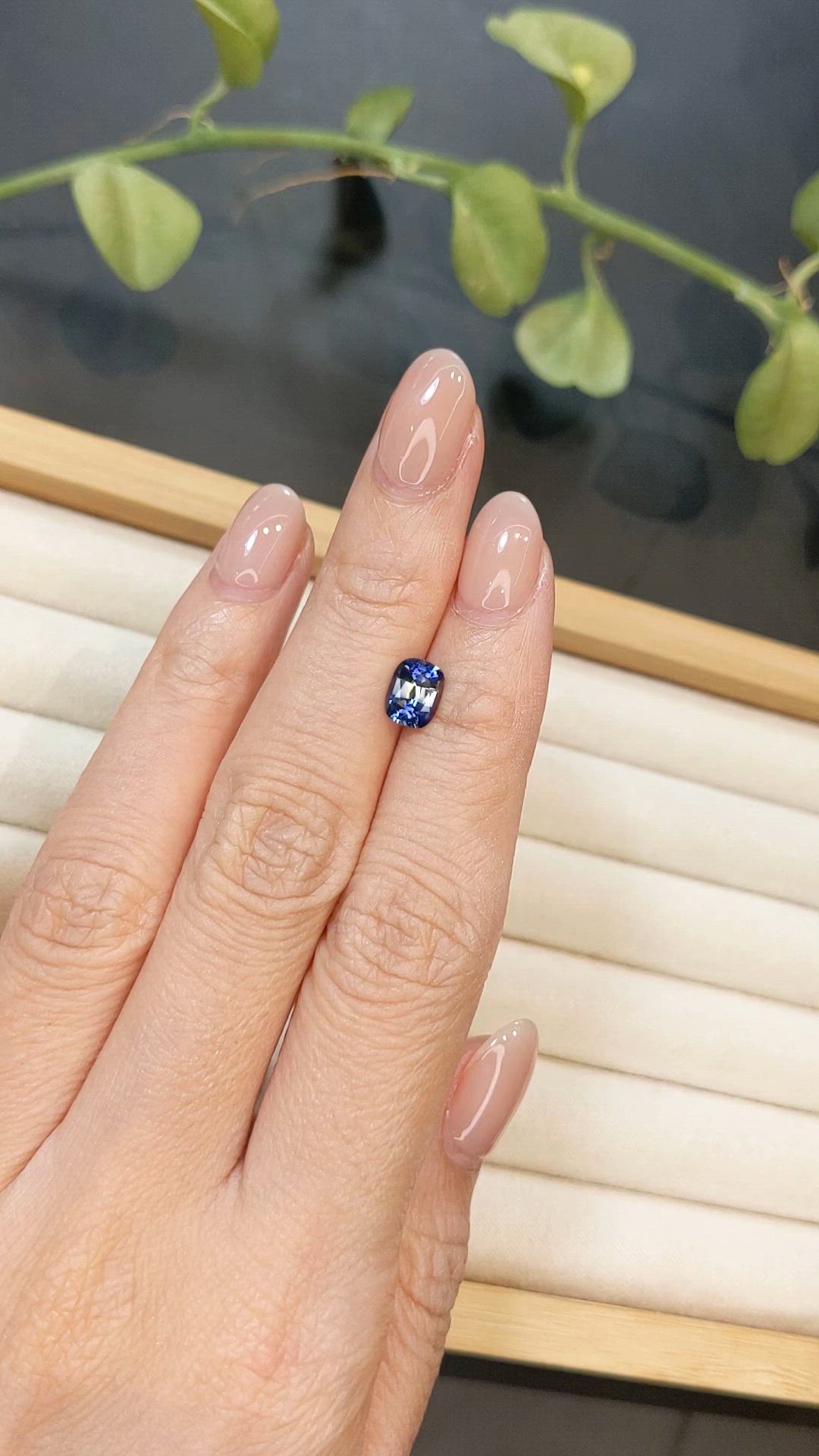 1.25 Ct. Bi Color / Parti Sapphire from Ceylon (Sri Lanka) Size Video