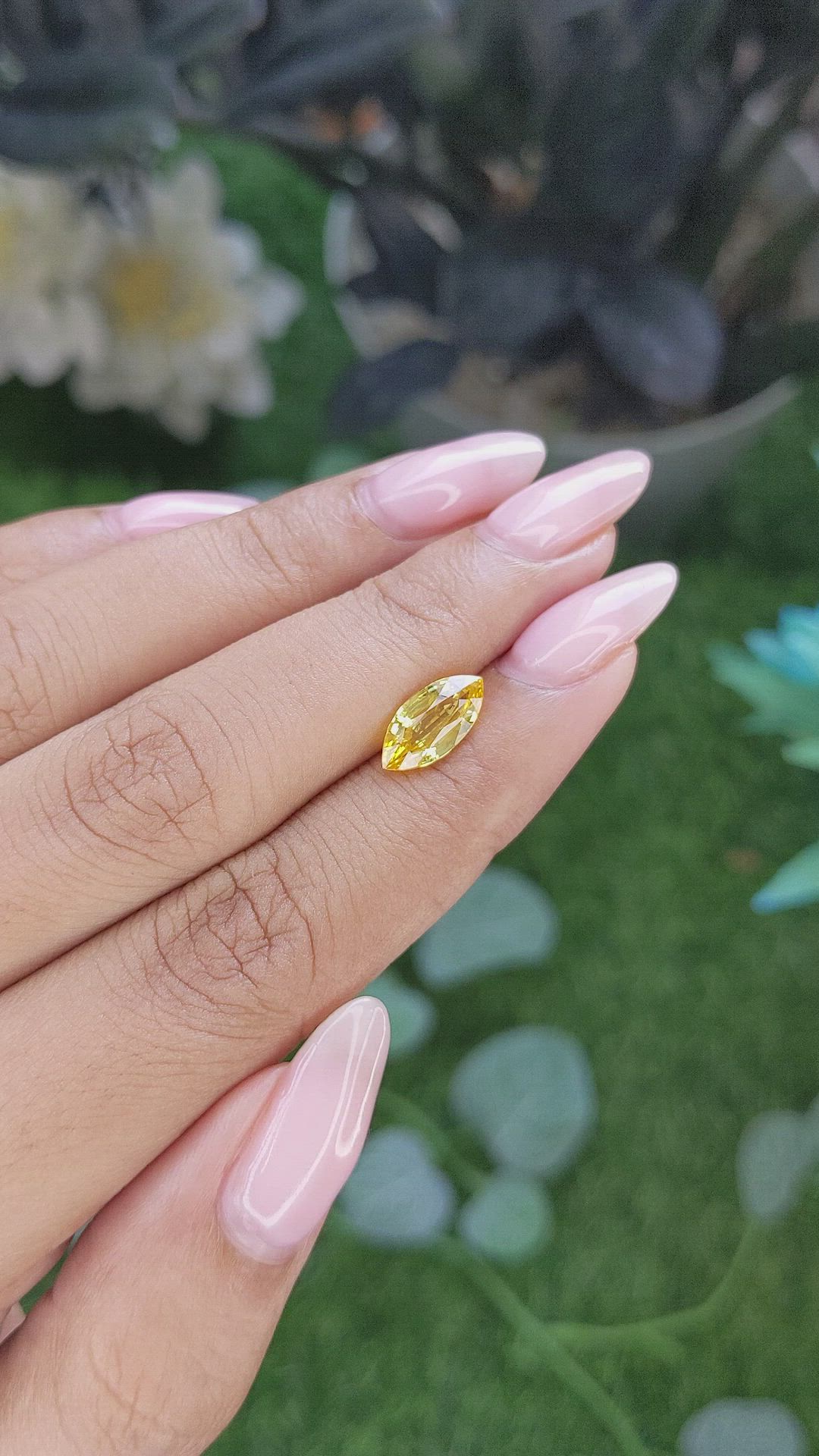 2.01 Ct. Yellow Sapphire from Ceylon (Sri Lanka) Size Video