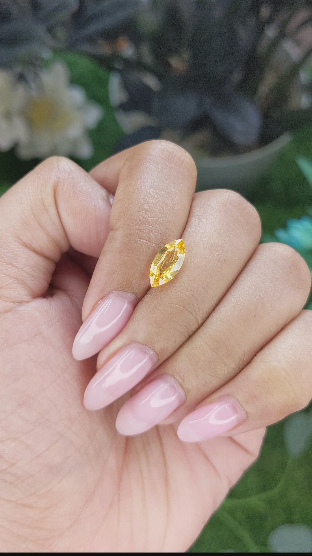 2.01 Ct. Yellow Sapphire from Ceylon (Sri Lanka) Size Video