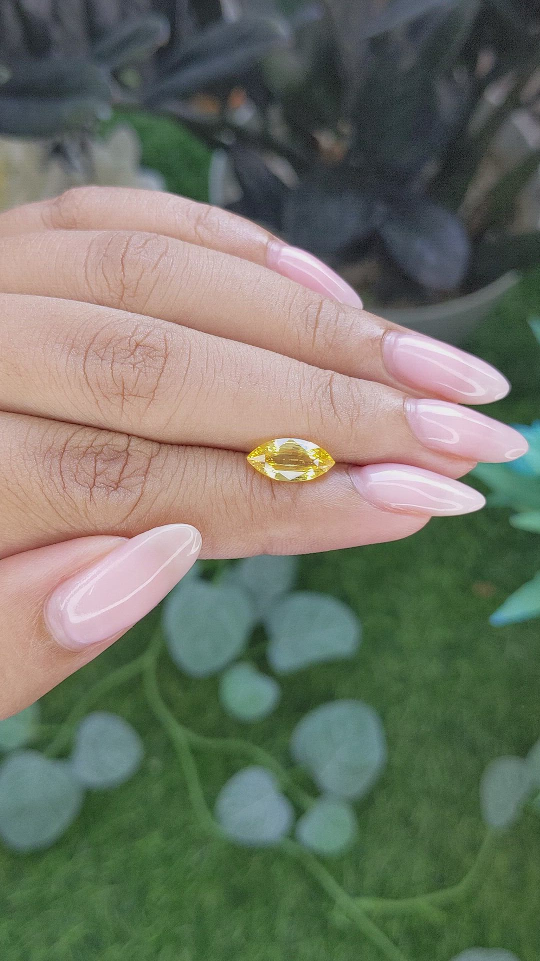 2.01 Ct. Yellow Sapphire from Ceylon (Sri Lanka) Size Video