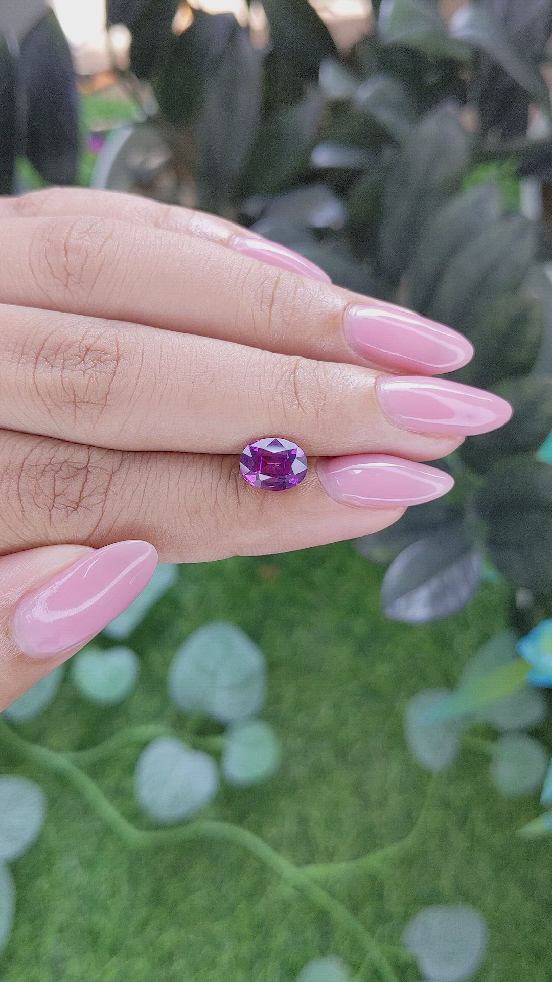 2.02 Ct. Purplish Pink Sapphire from Ceylon (Sri Lanka) Size Video