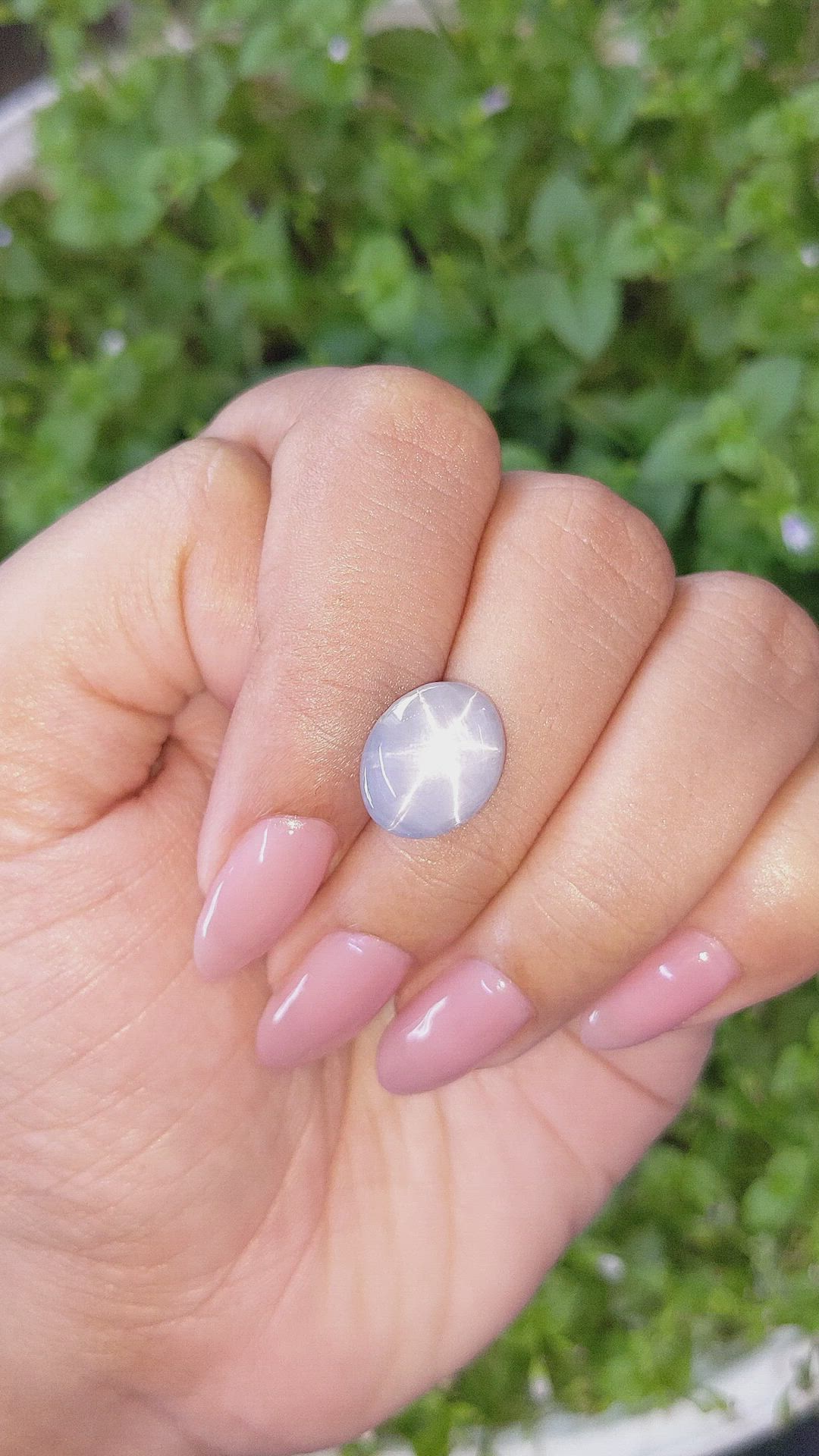 8.08 Ct. Bluish Grey Star Sapphire from Ceylon (Sri Lanka) Size Video