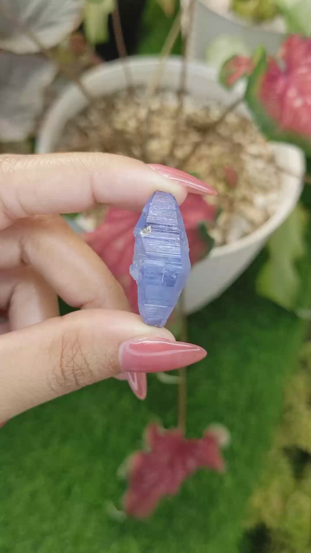 36.99 Ct. Blue Sapphire from Ceylon (Sri Lanka) Size Video