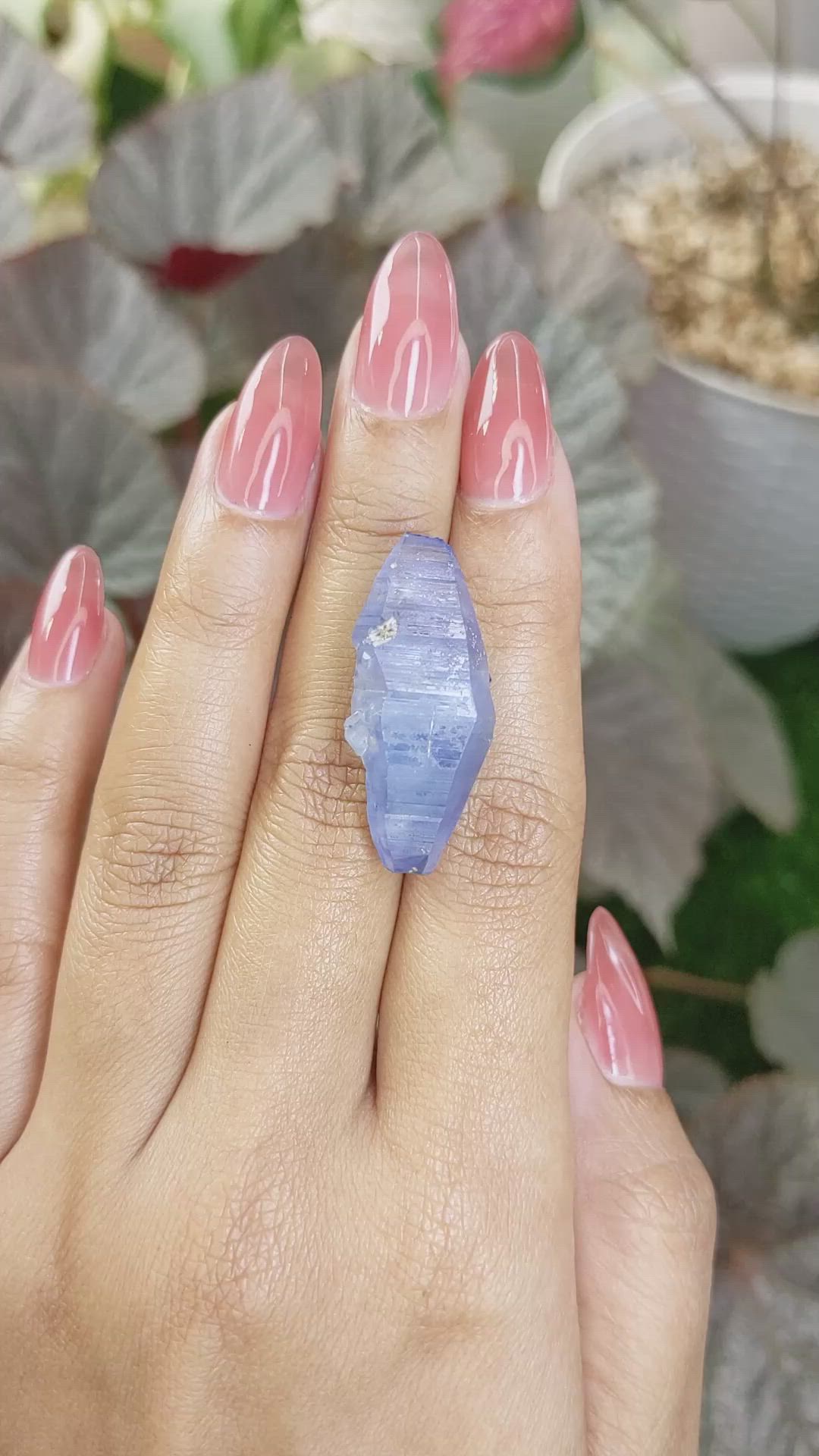 36.99 Ct. Blue Sapphire from Ceylon (Sri Lanka) Size Video