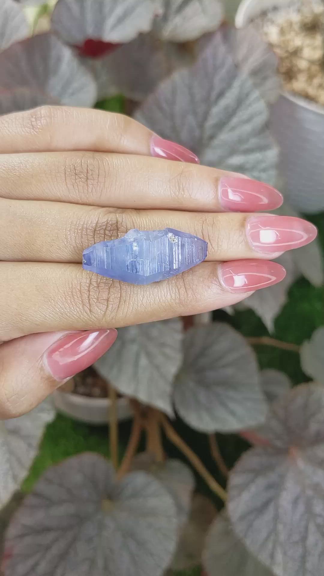 36.99 Ct. Blue Sapphire from Ceylon (Sri Lanka) Size Video