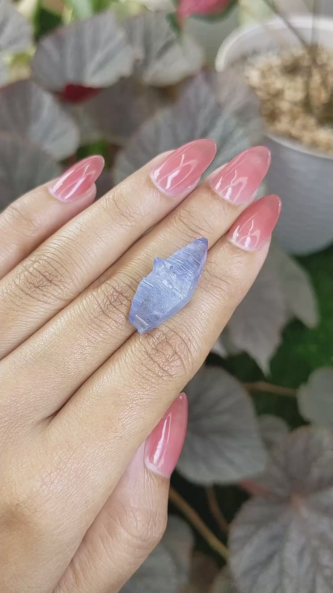 21.60 Ct. Blue Sapphire from Ceylon (Sri Lanka) Size Video