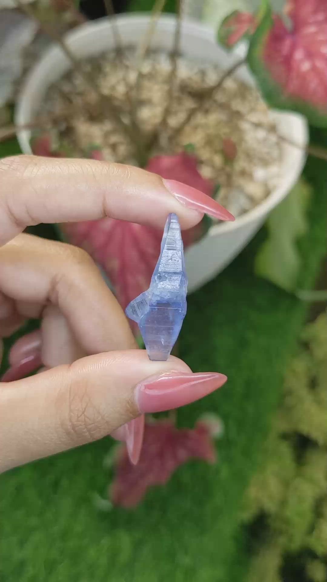 15.68 Ct. Blue Sapphire from Ceylon (Sri Lanka) Size Video