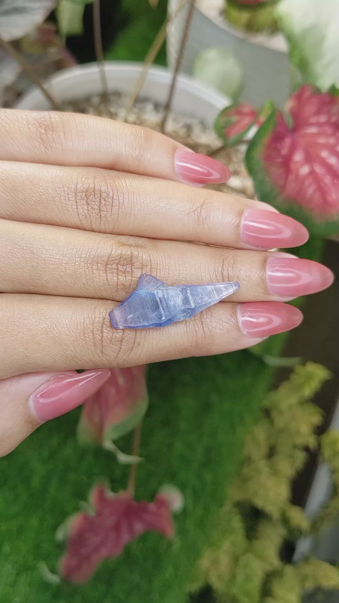 15.68 Ct. Blue Sapphire from Ceylon (Sri Lanka) Size Video