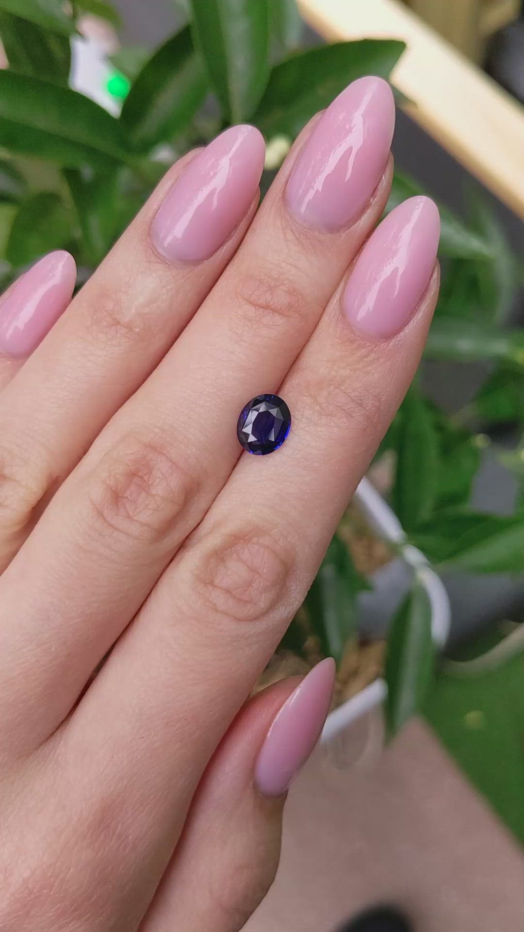 1.78 Ct. Blue Sapphire from Ceylon (Sri Lanka) Size Video