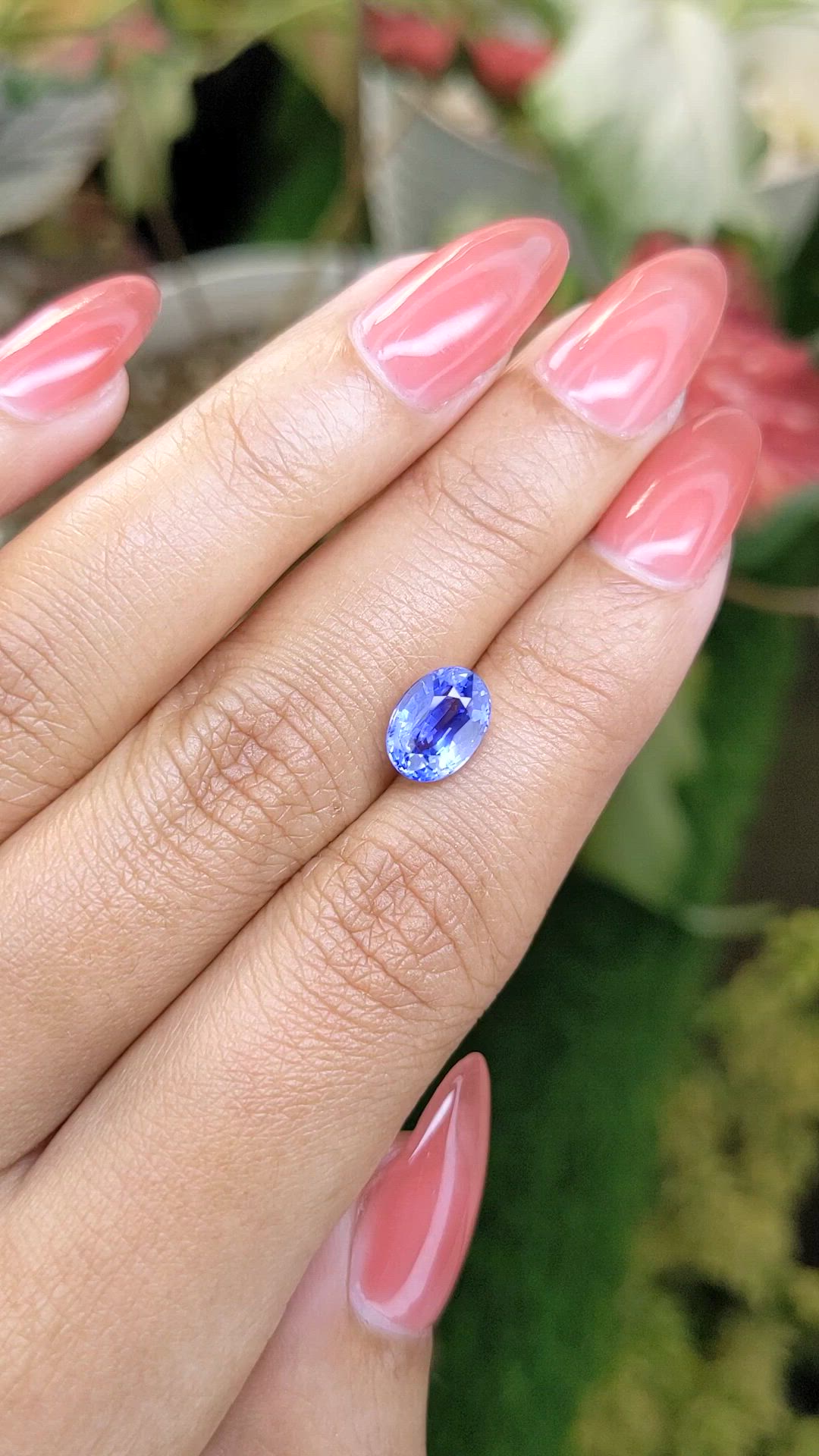 2.41 Ct. Blue Sapphire from Ceylon (Sri Lanka) Size Video