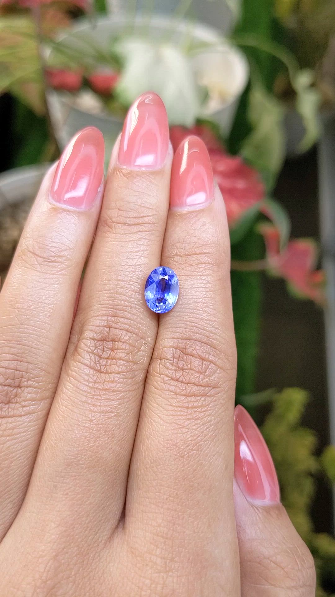 2.41 Ct. Blue Sapphire from Ceylon (Sri Lanka) Size Video