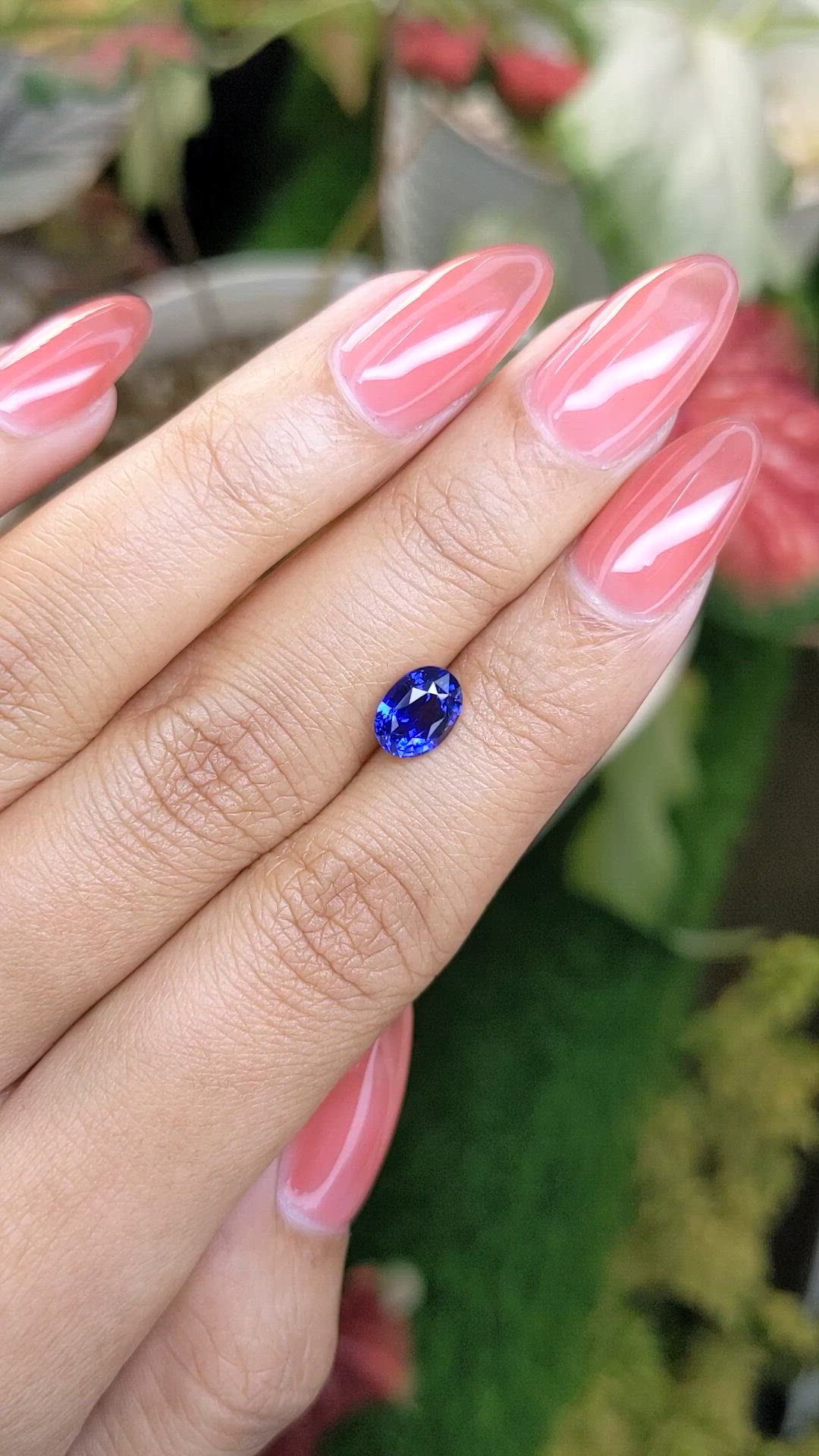 1.63 Ct. Blue Sapphire from Ceylon (Sri Lanka) Size Video