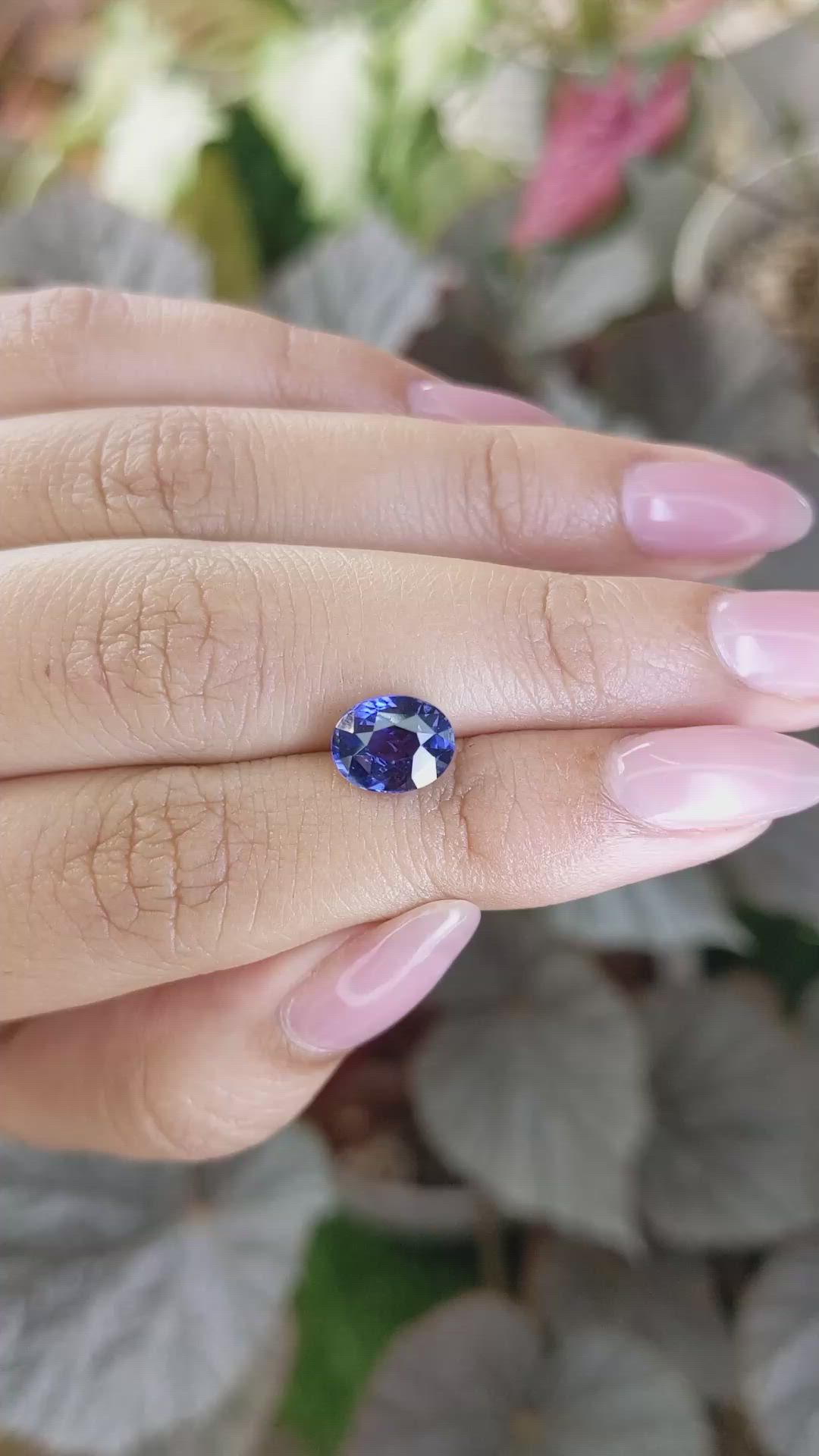 2.46 Ct. Blue Sapphire from Ceylon (Sri Lanka) Size Video
