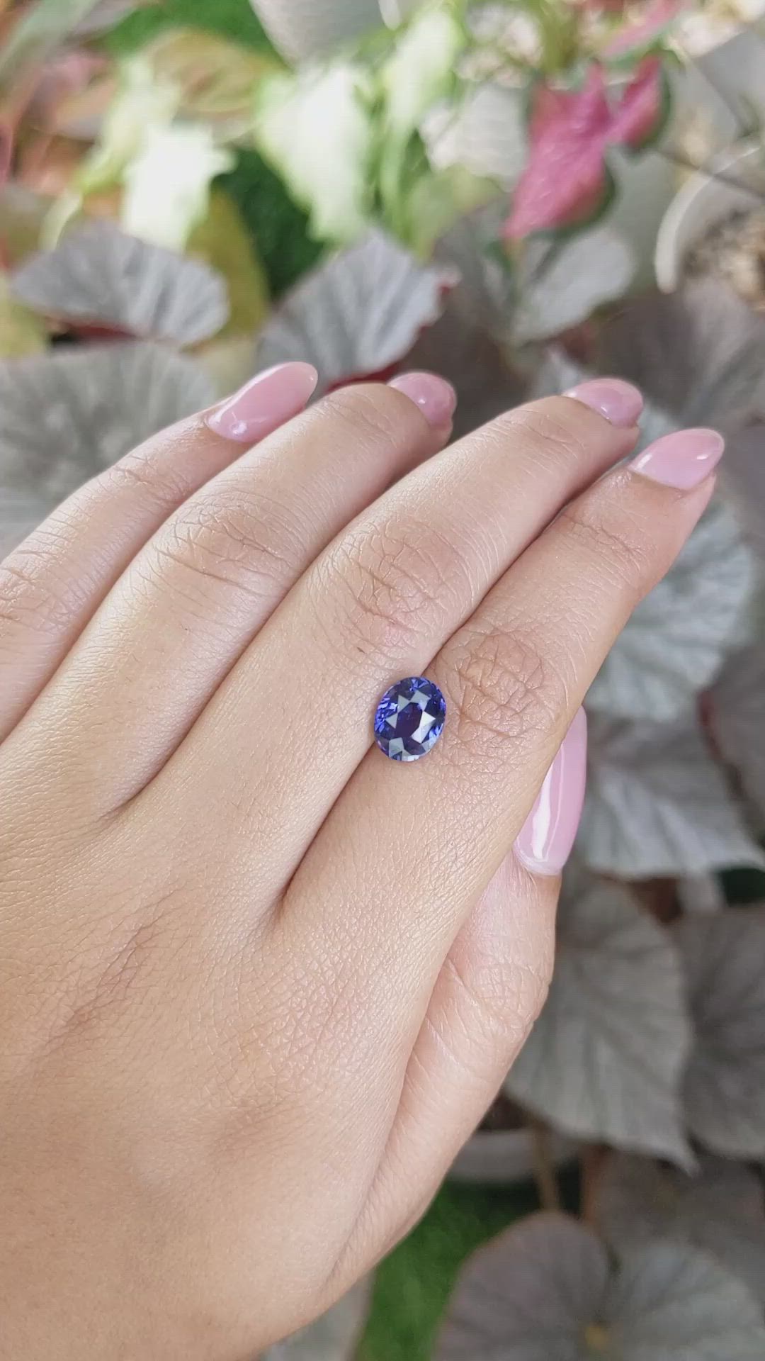 2.46 Ct. Blue Sapphire from Ceylon (Sri Lanka) Size Video