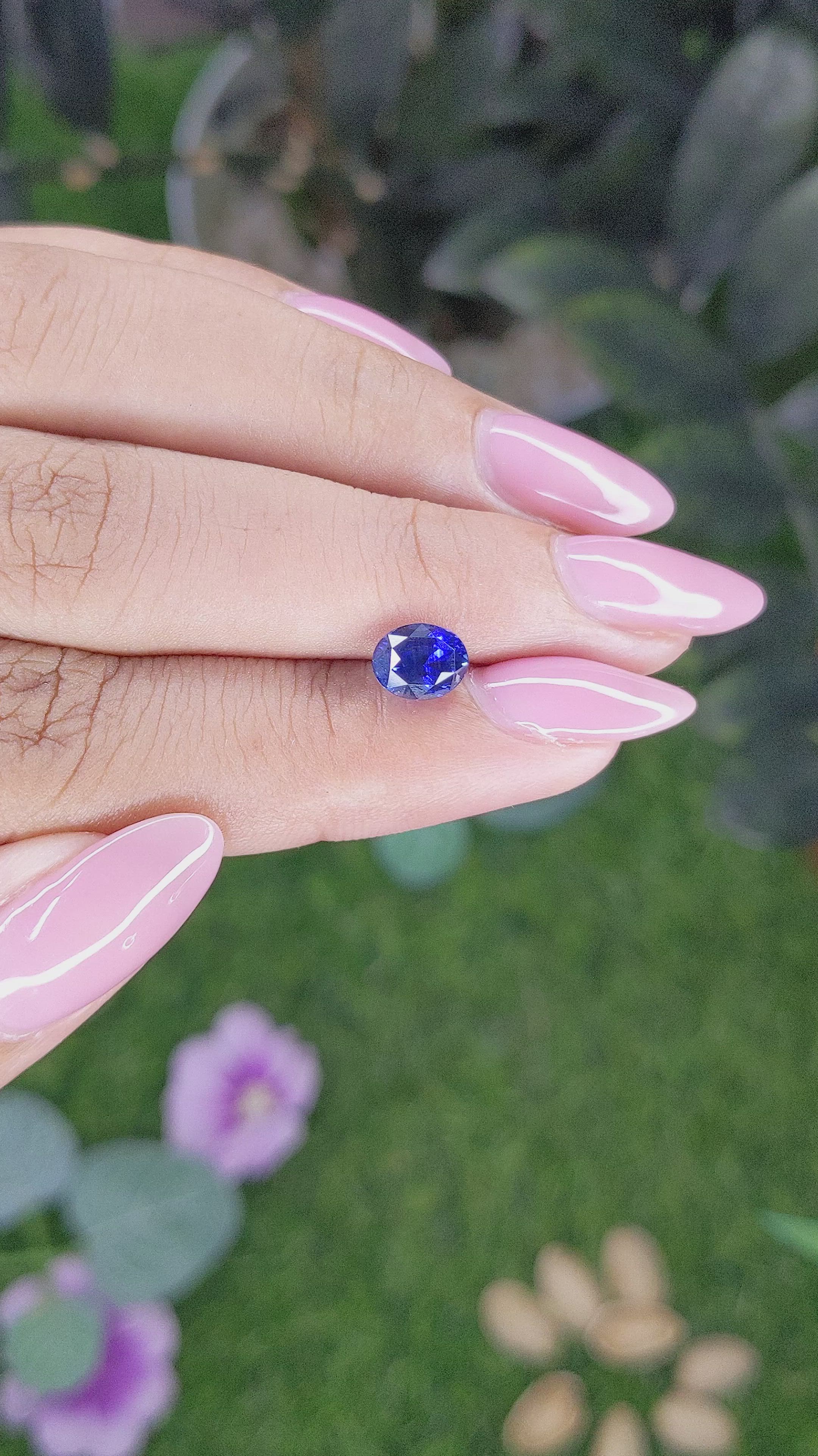 1.53 Ct. Blue Sapphire from Ceylon (Sri Lanka) Size Video