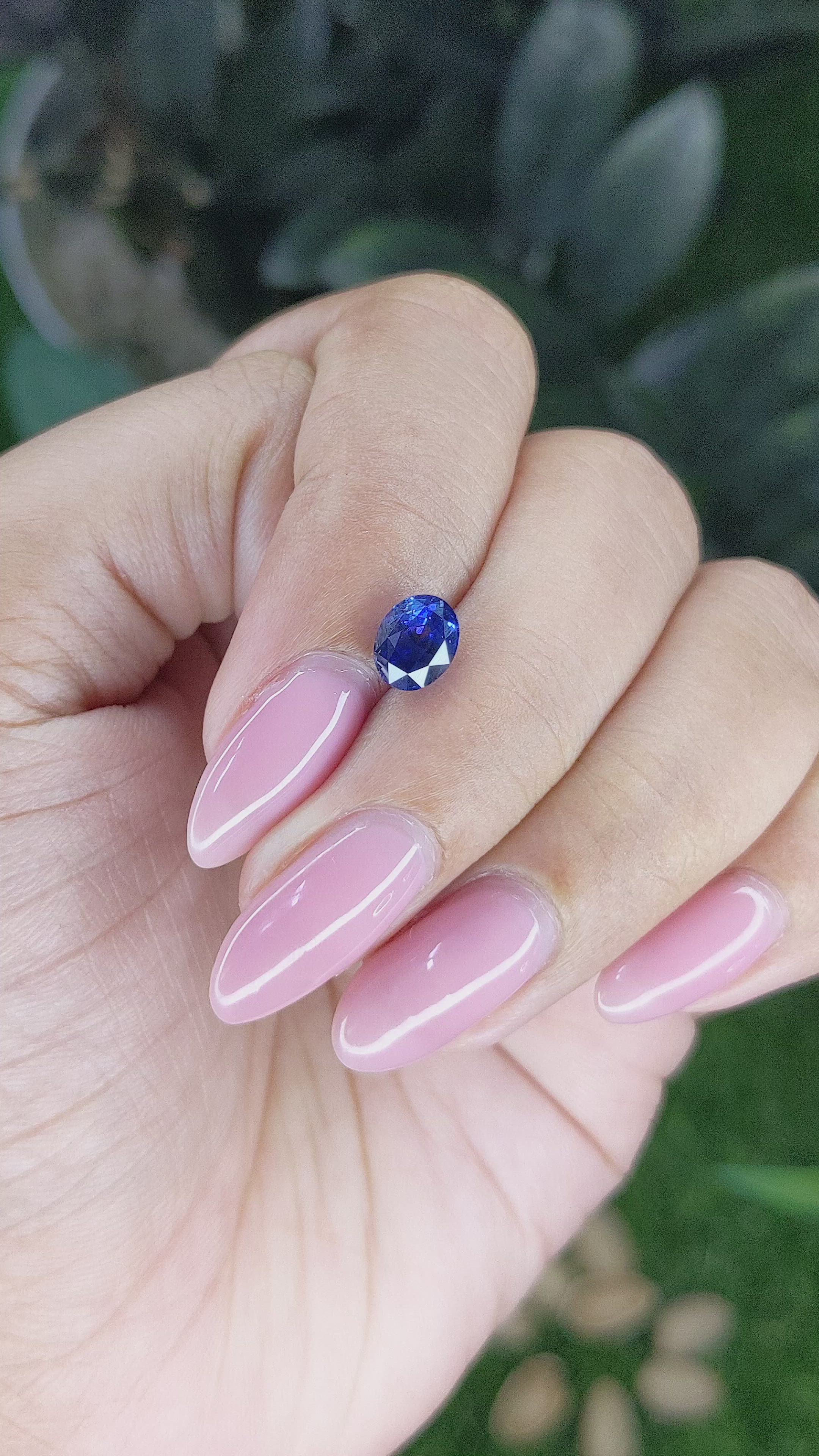 1.53 Ct. Blue Sapphire from Ceylon (Sri Lanka) Size Video