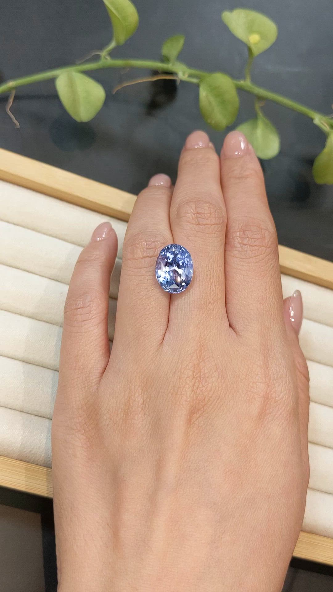 10.65 Ct. Blue Sapphire from Ceylon (Sri Lanka) Size Video