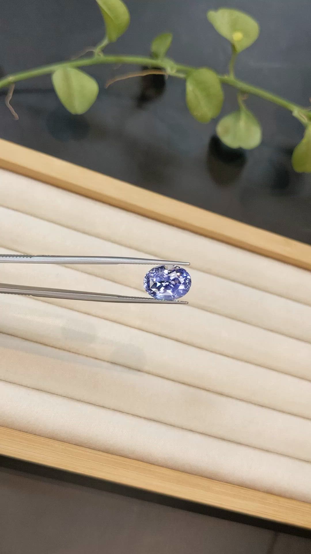 10.65 Ct. Blue Sapphire from Ceylon (Sri Lanka) Size Video