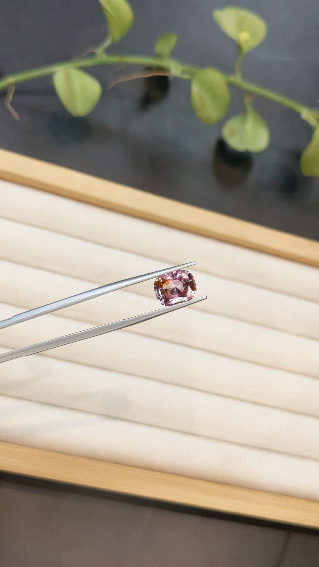 3.69 Ct. Bi Color Sapphire from Ceylon (Sri Lanka) Size Video